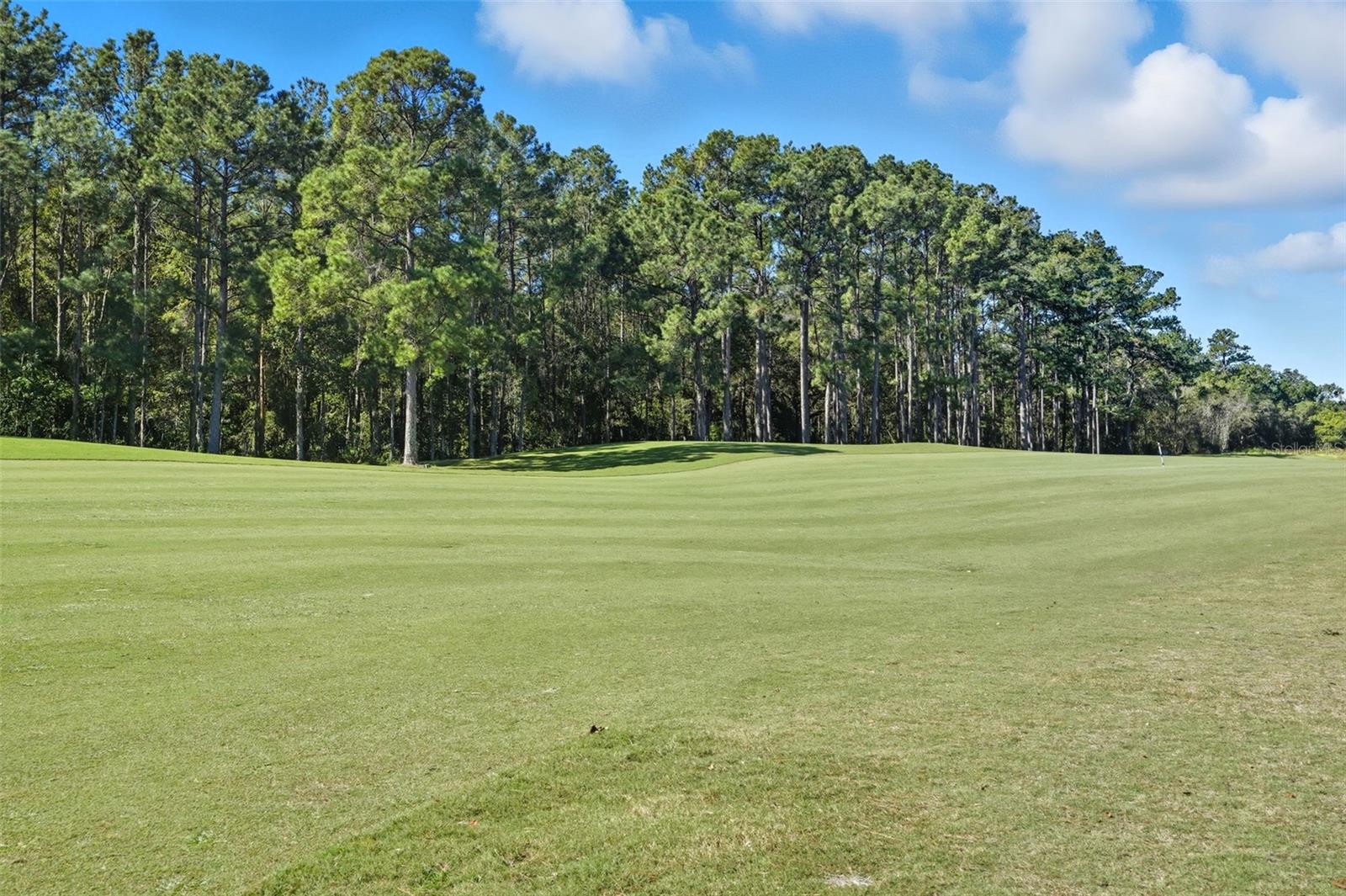 Image 36 of 40 For 4149 Gevalia Drive