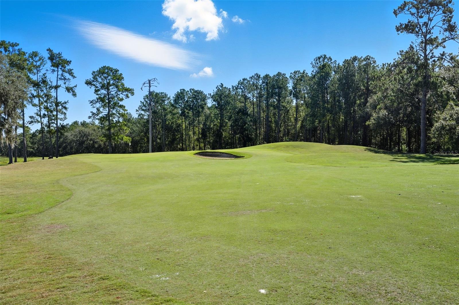 Image 39 of 40 For 4149 Gevalia Drive