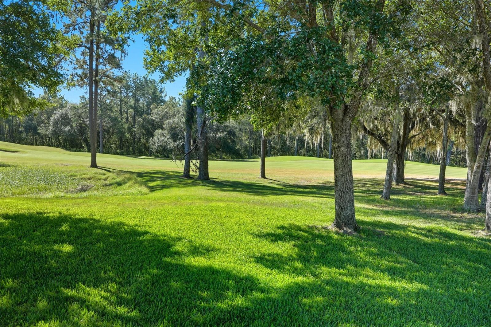 Image 40 of 40 For 4149 Gevalia Drive