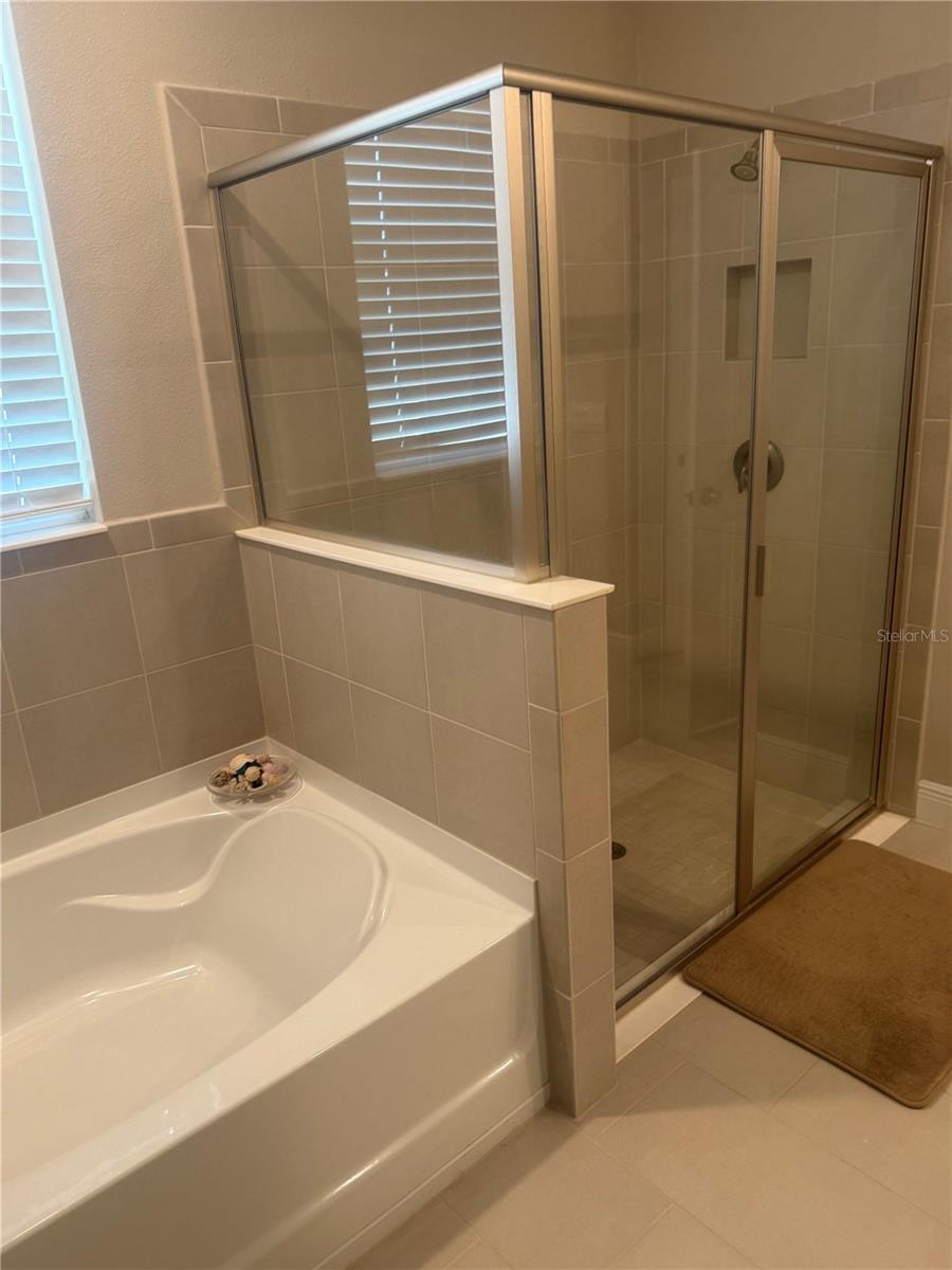 Image 33 of 46 For 222 Mangrove Manor Drive