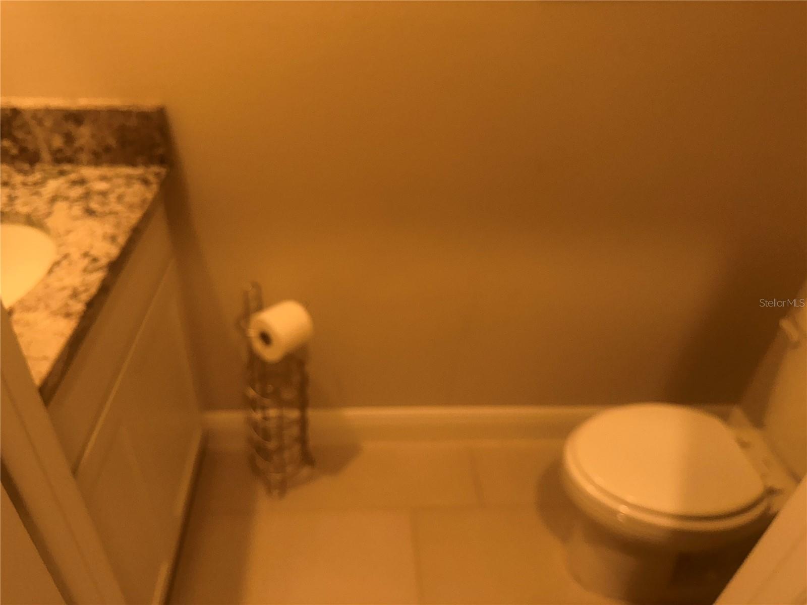 Image 42 of 46 For 222 Mangrove Manor Drive