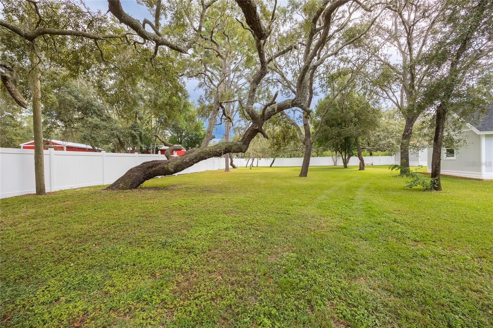 Image 92 of 100 For 13219 Tyrone Street