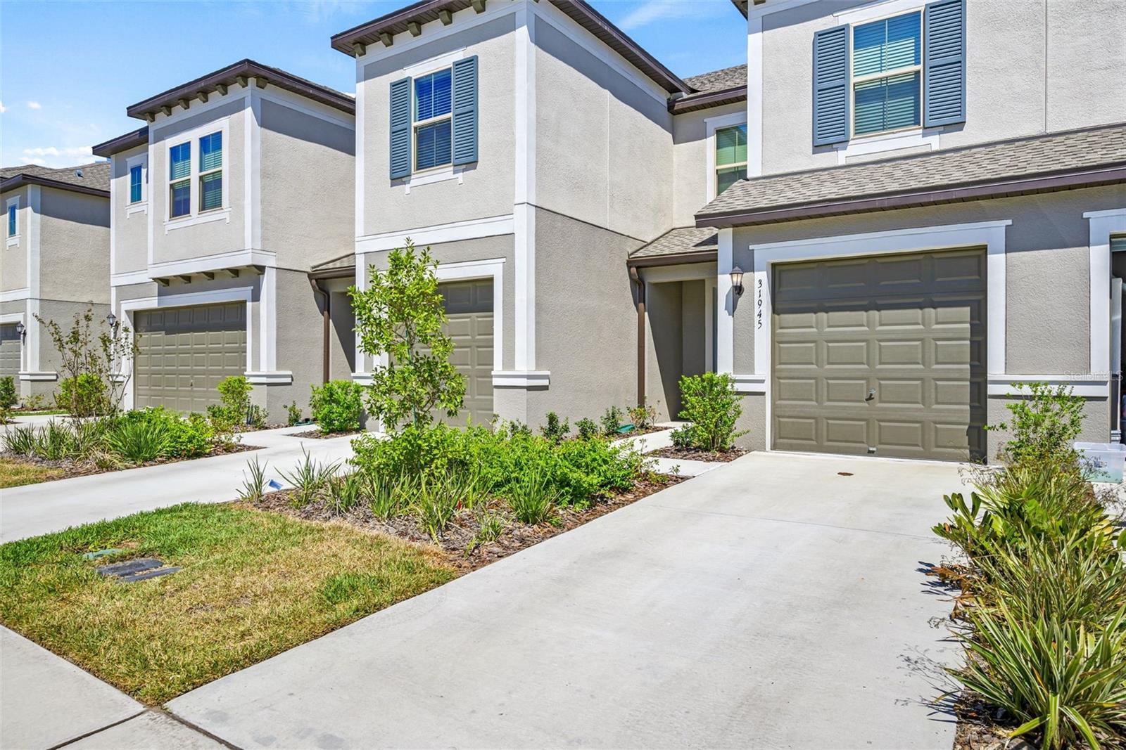 Details for 31945 Blue Passing Loop, WESLEY CHAPEL, FL 33545
