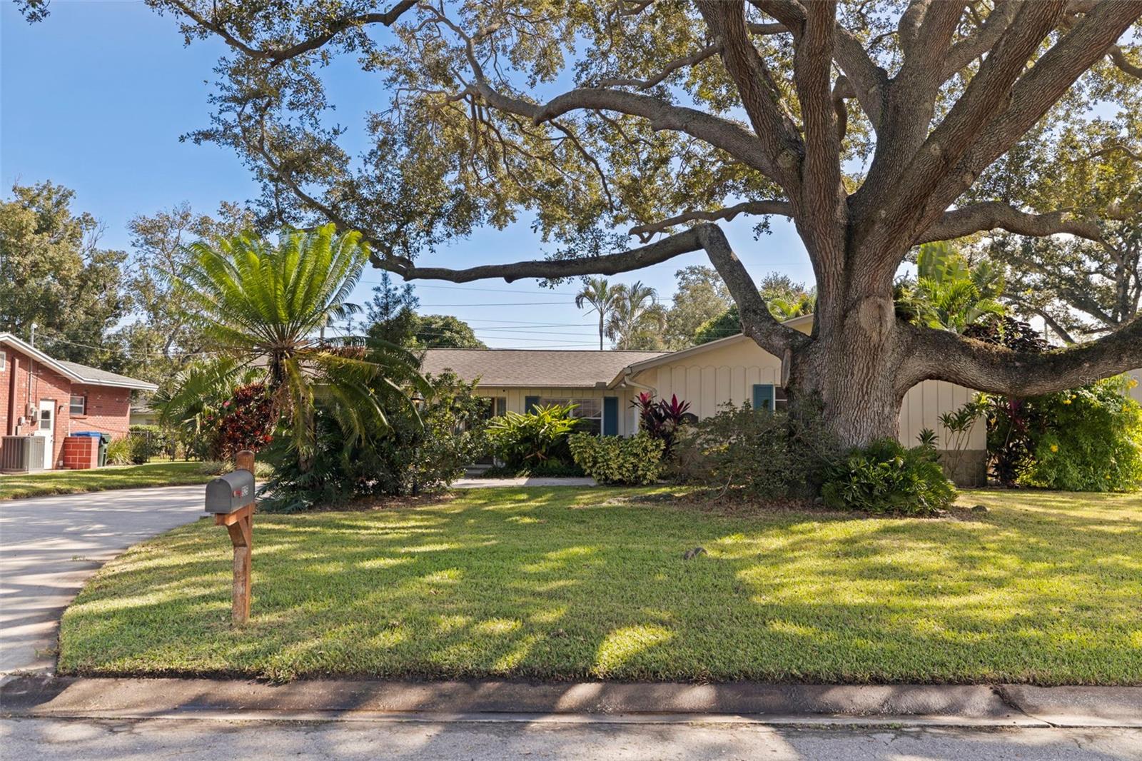 Image 38 of 40 For 925 Irene Avenue