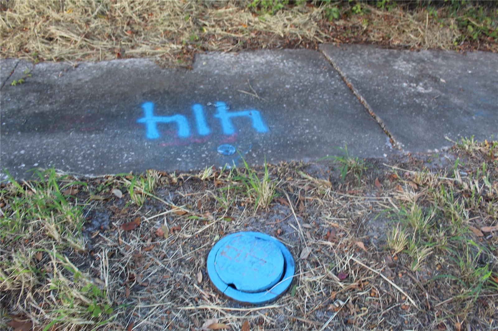 Image 53 of 54 For 414 & 418 Emily + 167408-0000 Street