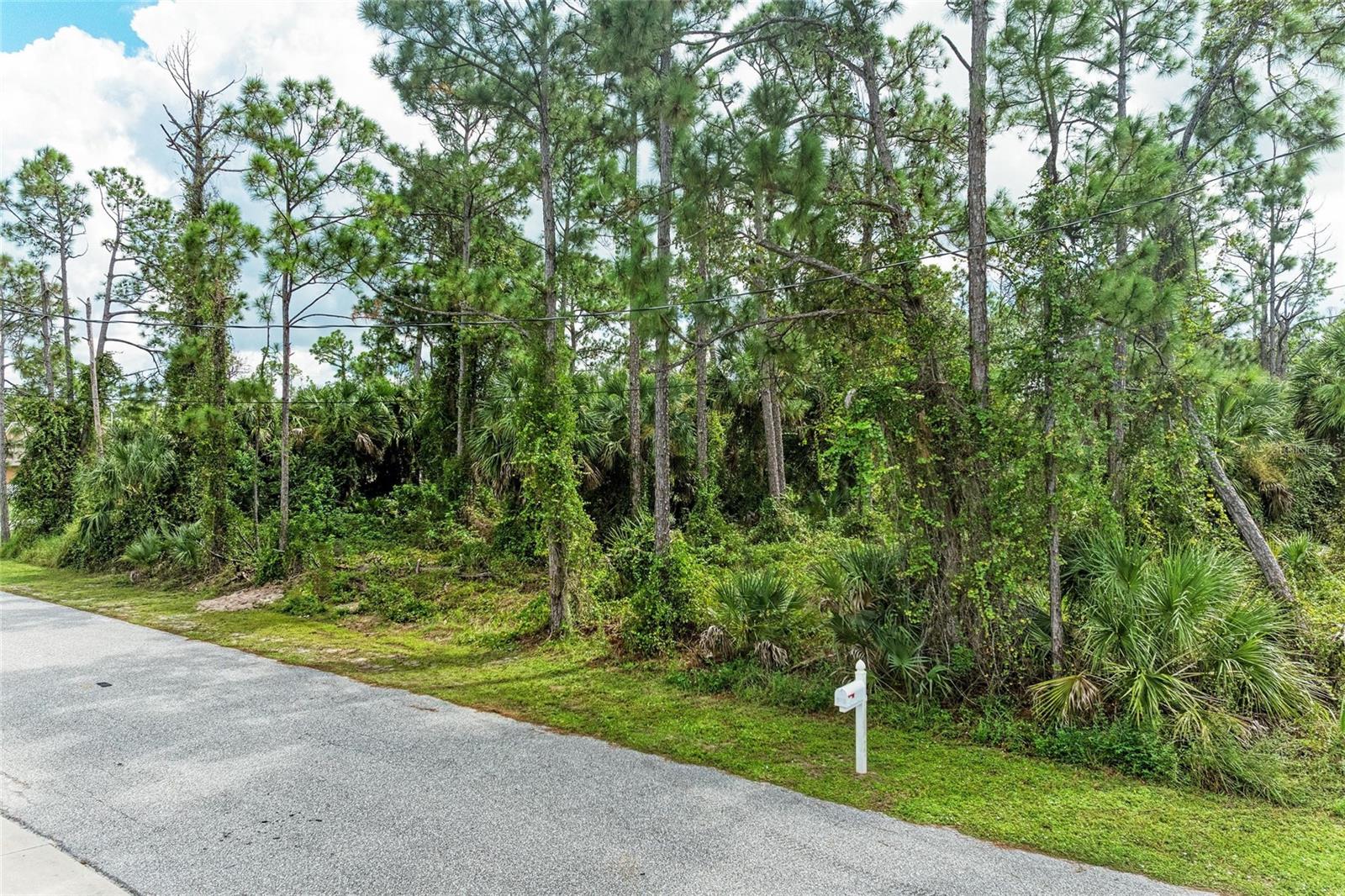 Image 5 of 100 For 1139164804, 1139164805 Foxglove Avenue Lot 4, Lot