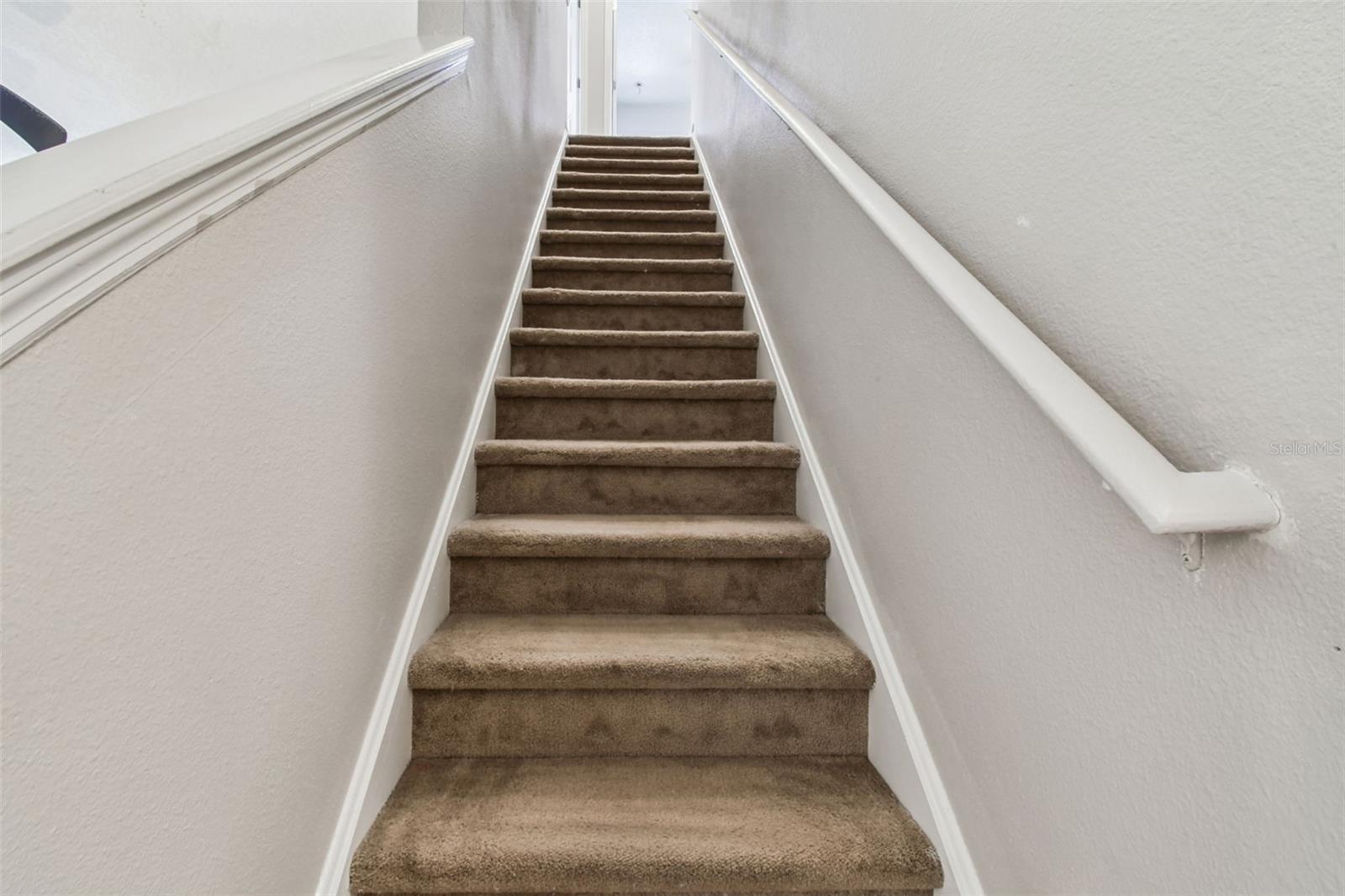 Image 21 of 64 For 31730 Spoonflower Circle