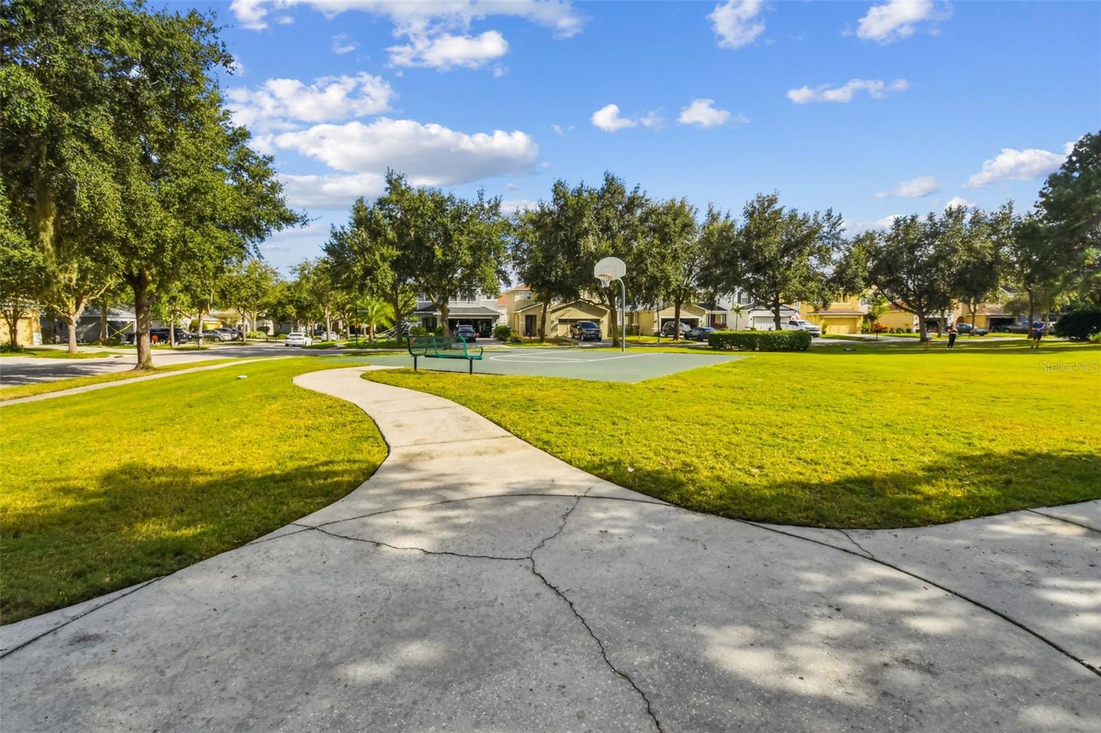 Image 52 of 64 For 31730 Spoonflower Circle