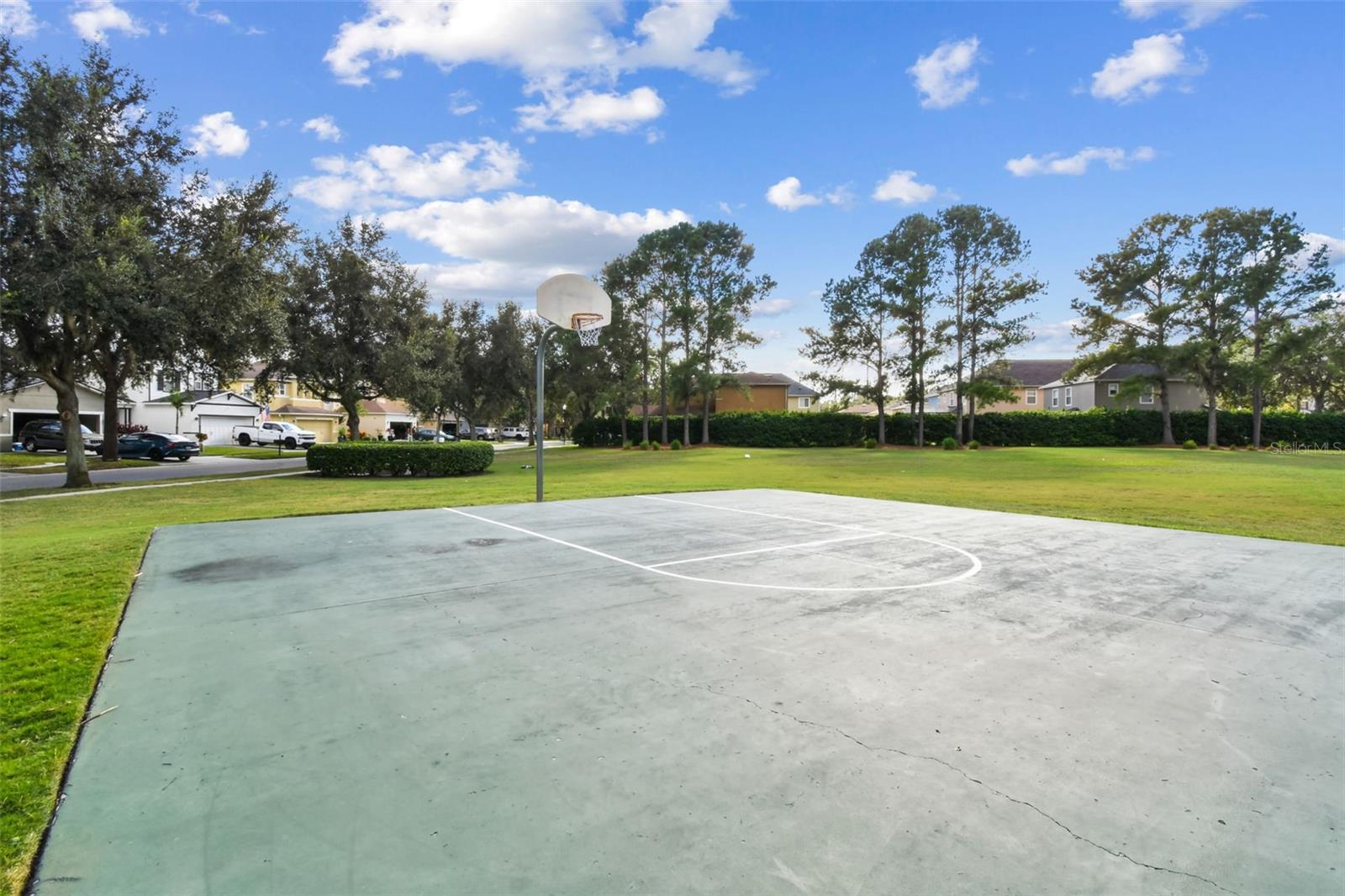 Image 54 of 64 For 31730 Spoonflower Circle