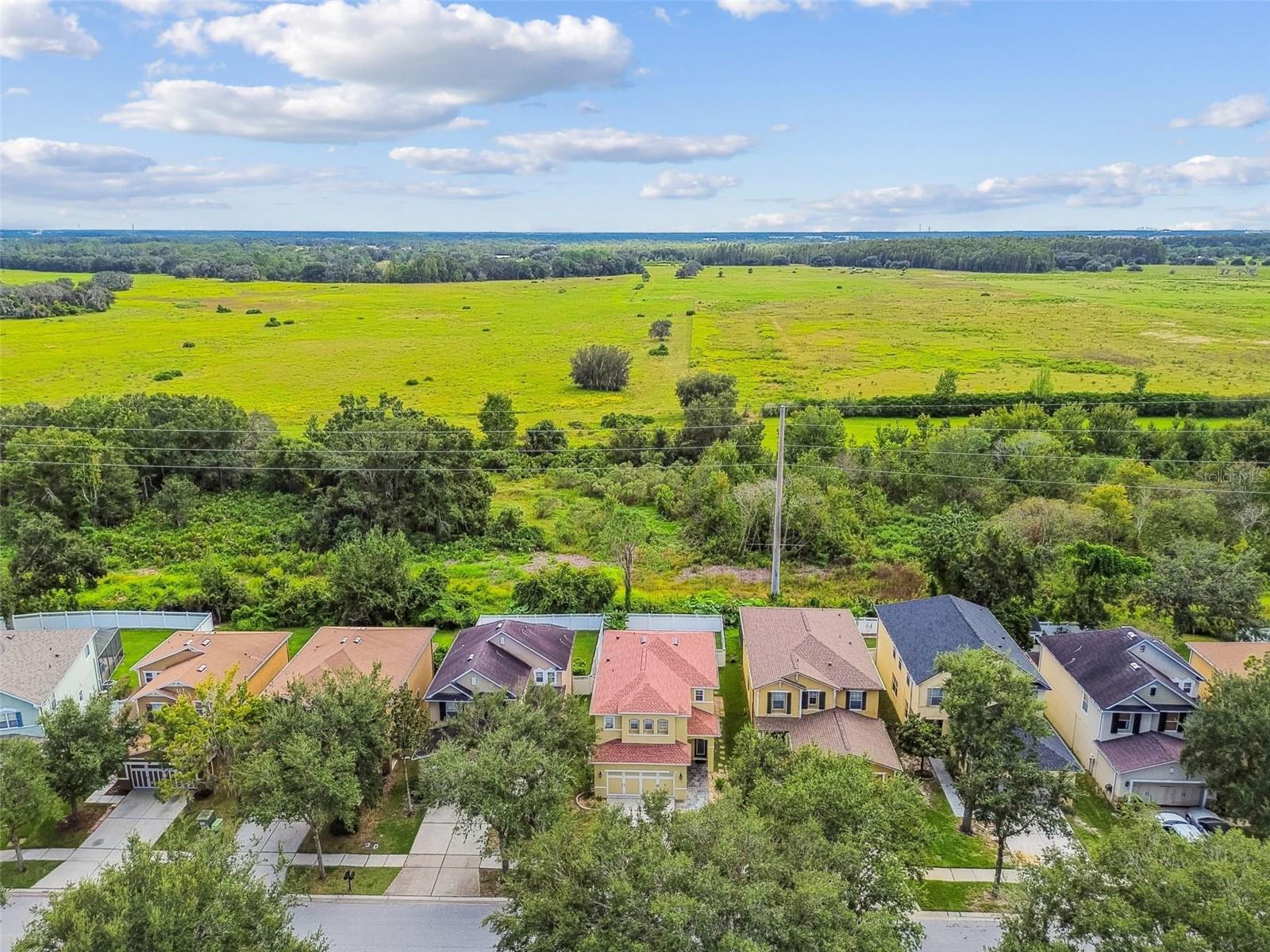 Image 56 of 64 For 31730 Spoonflower Circle