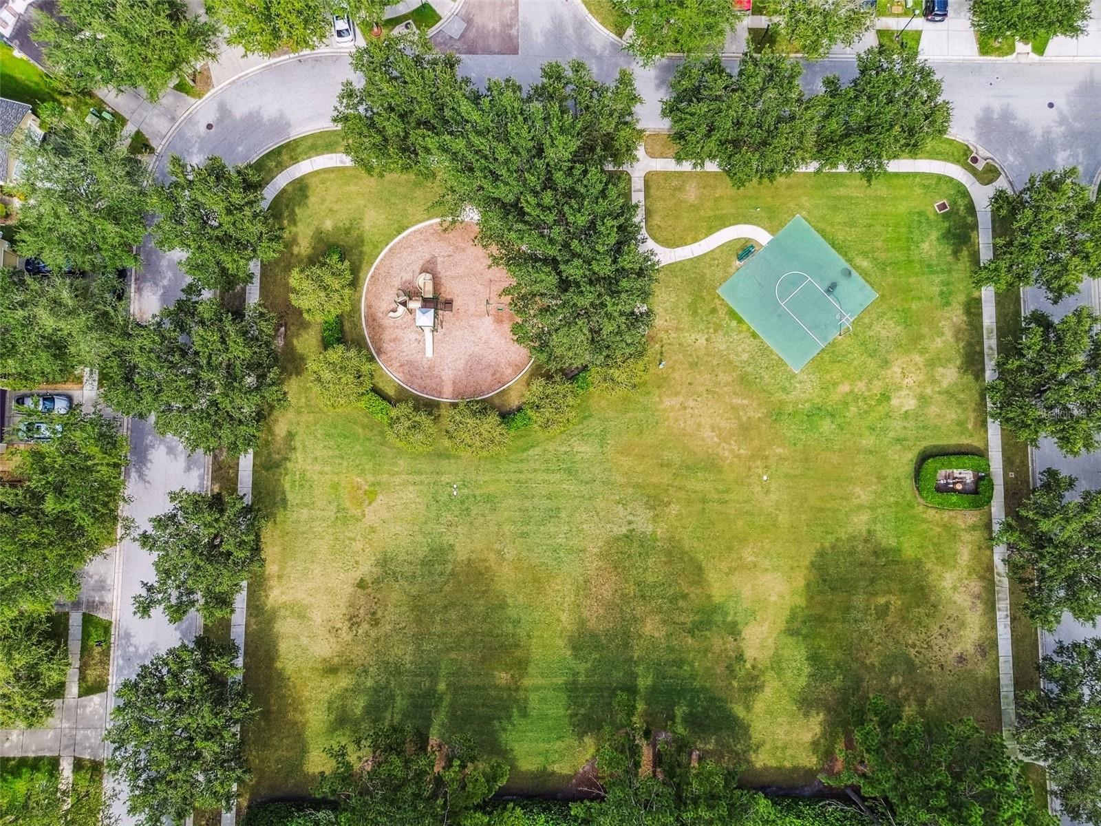 Image 58 of 64 For 31730 Spoonflower Circle