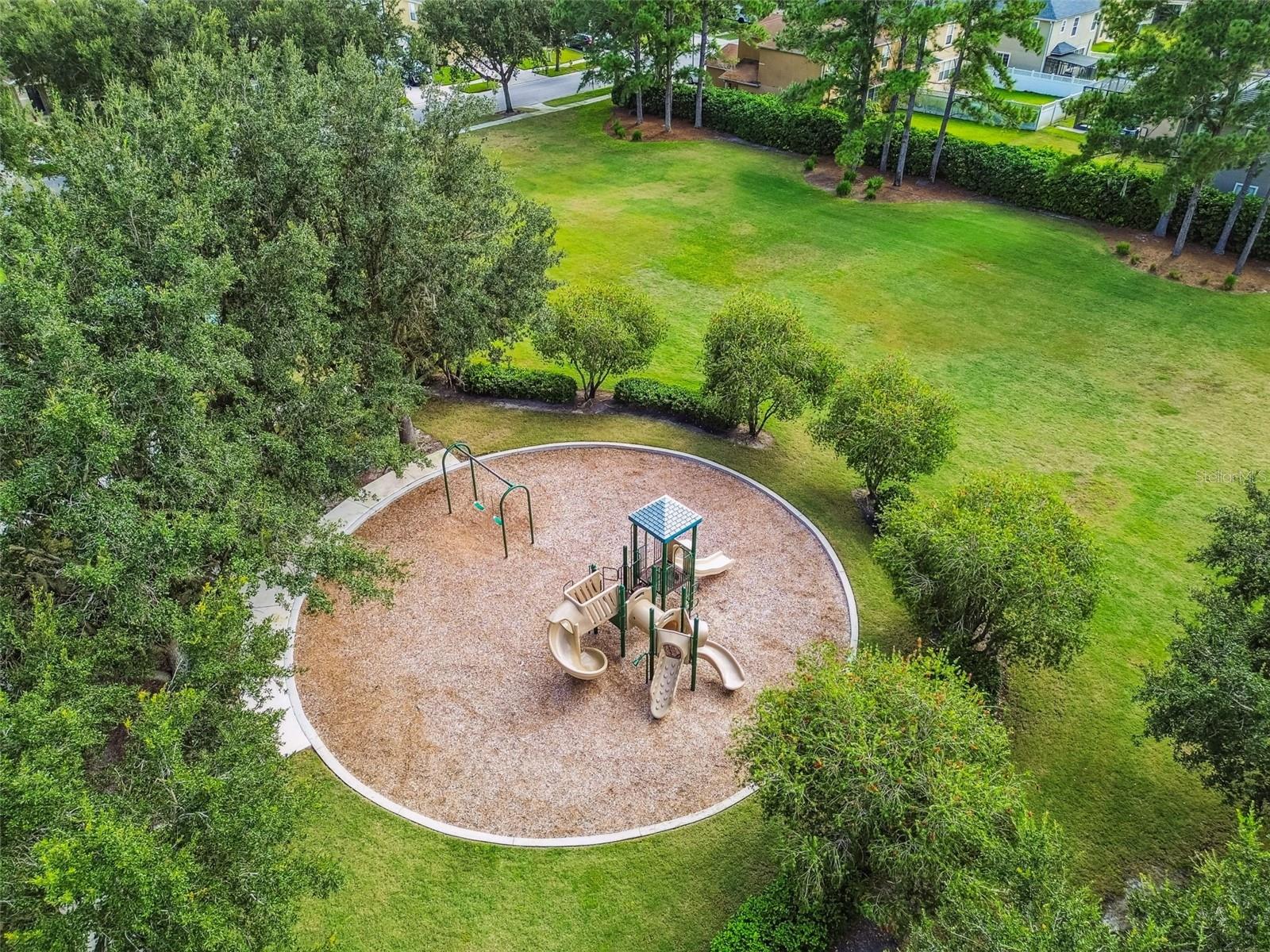 Image 59 of 64 For 31730 Spoonflower Circle