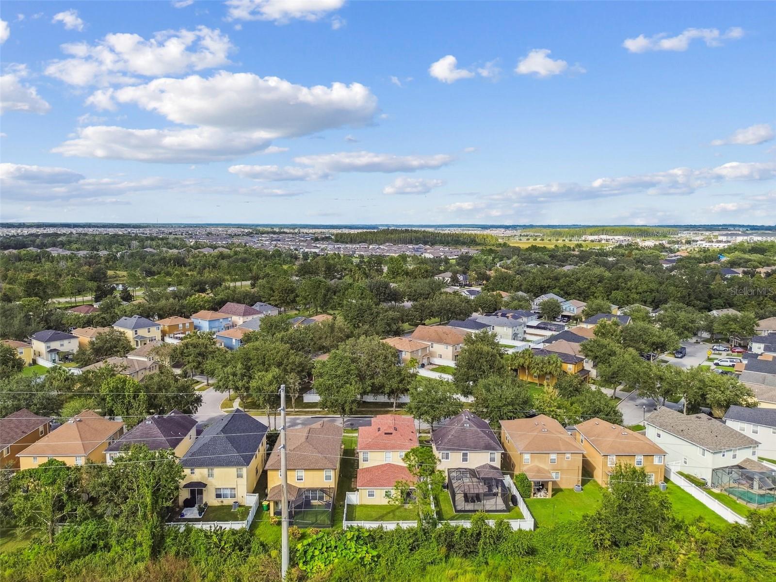 Image 61 of 64 For 31730 Spoonflower Circle