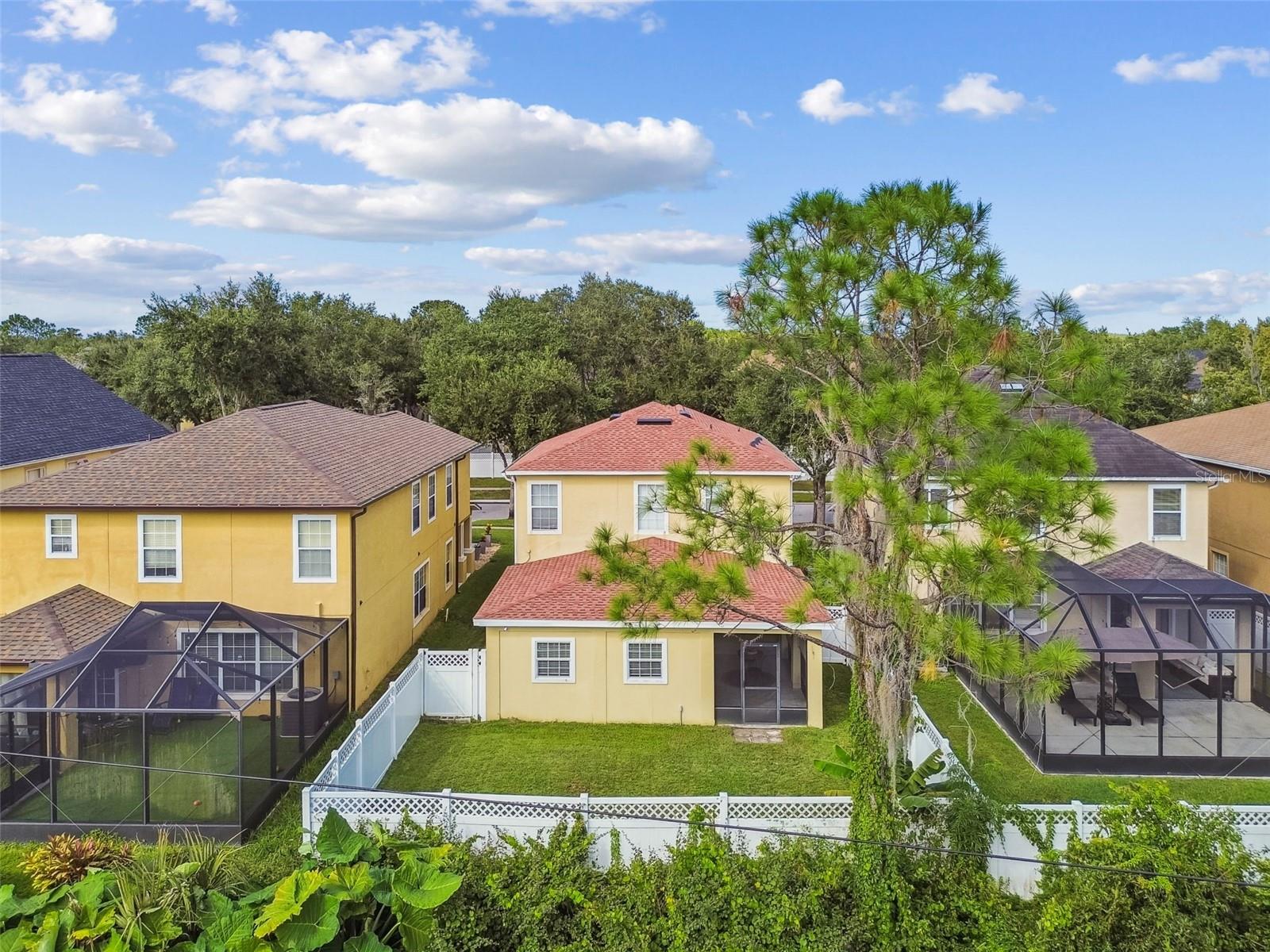 Image 62 of 64 For 31730 Spoonflower Circle