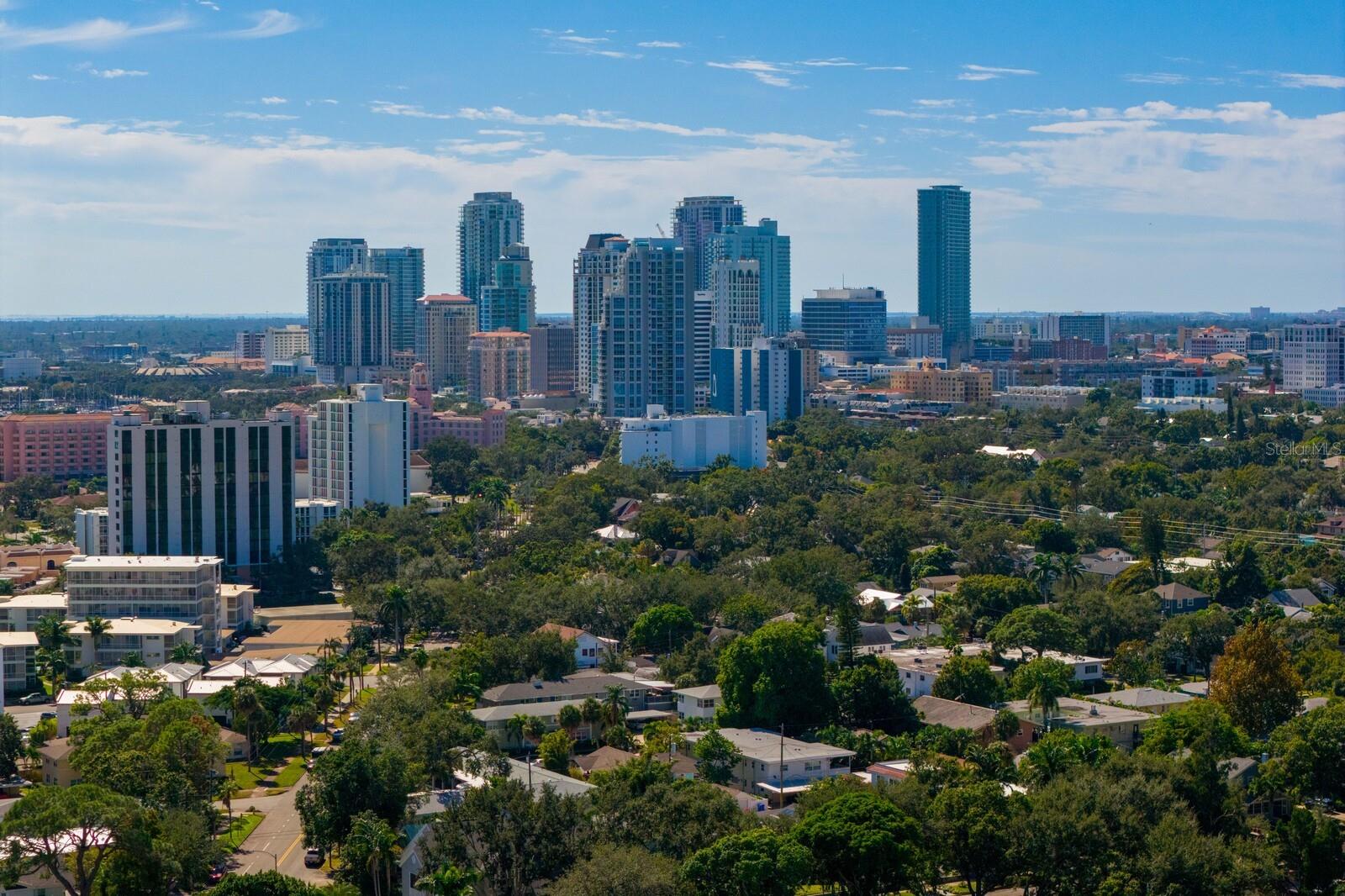 Image 64 of 70 For 720 16th Avenue Ne