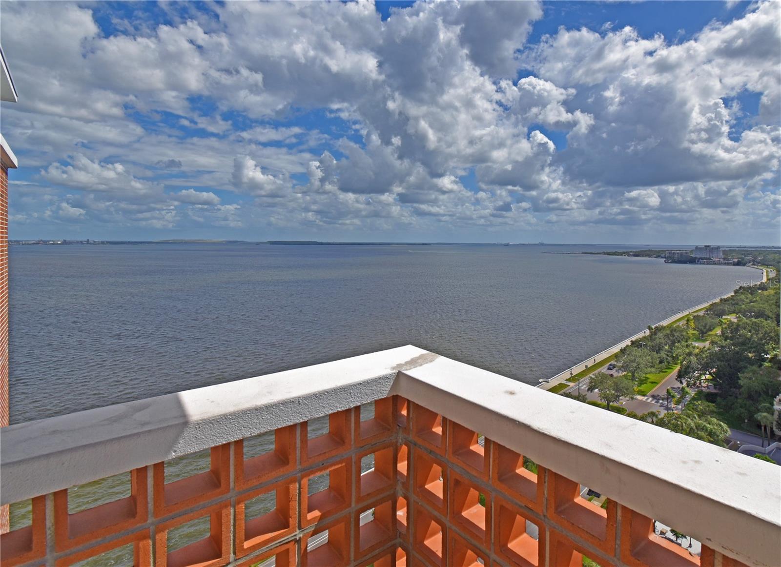 4015 Bayshore Boulevard 17f