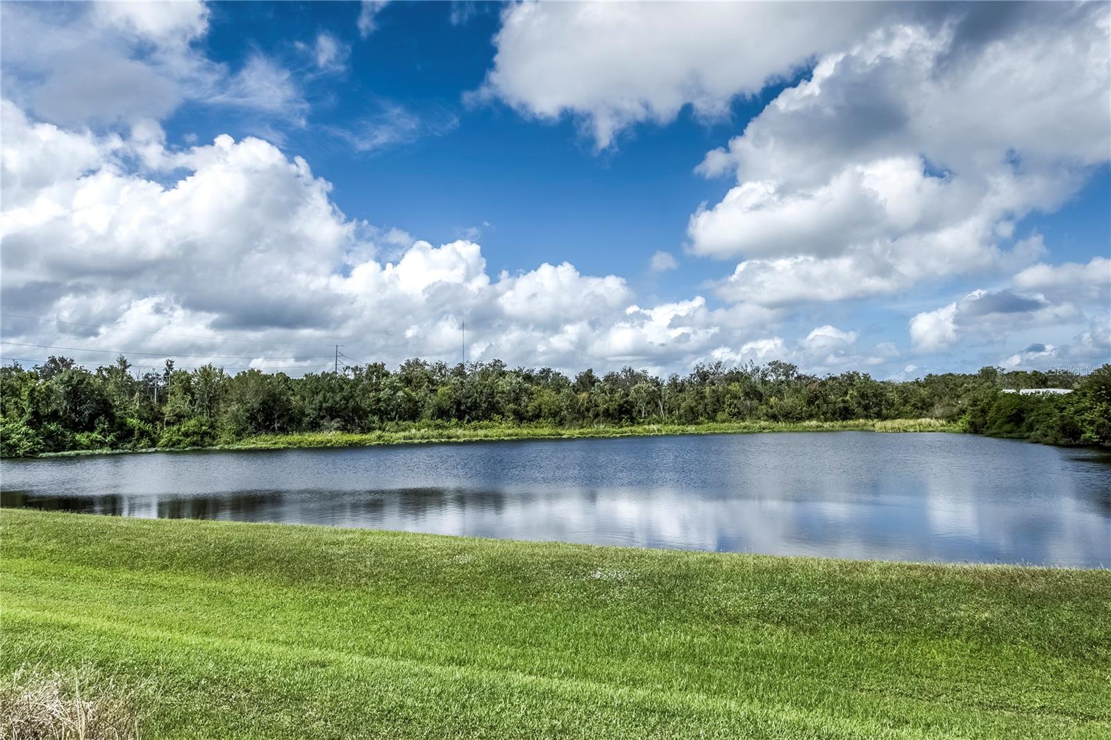Image 20 of 31 For 11308 Cypress Reserve Drive