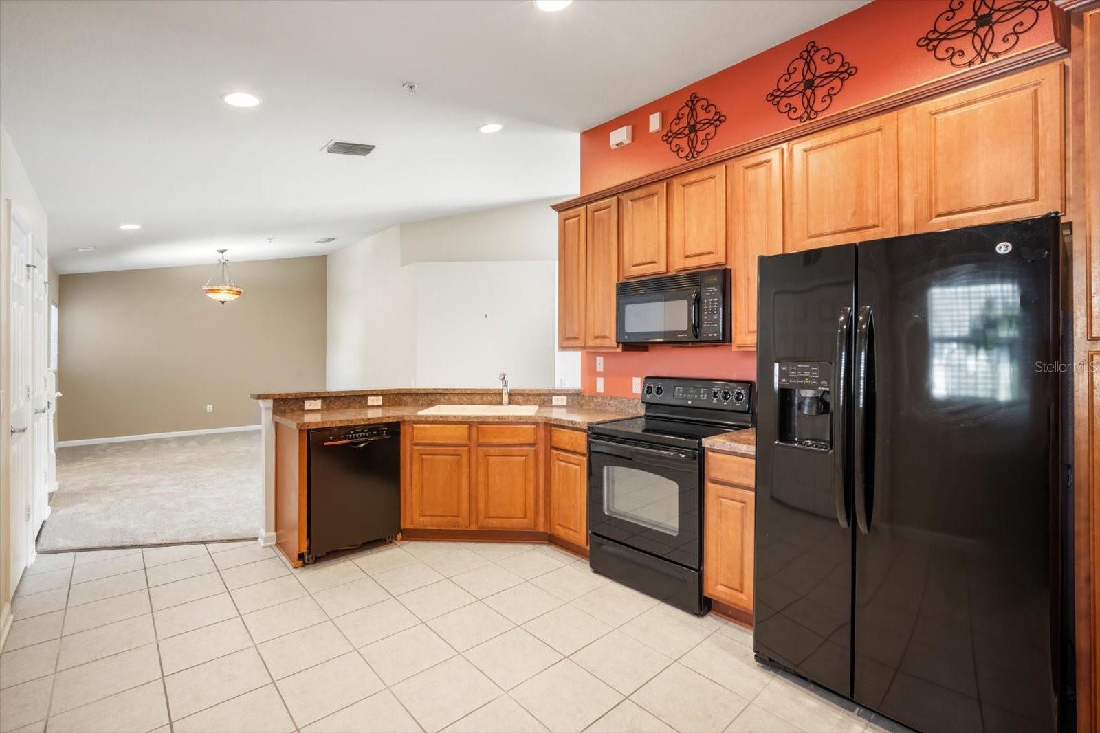 Image 15 of 32 For 2028 Kings Palace Drive 202