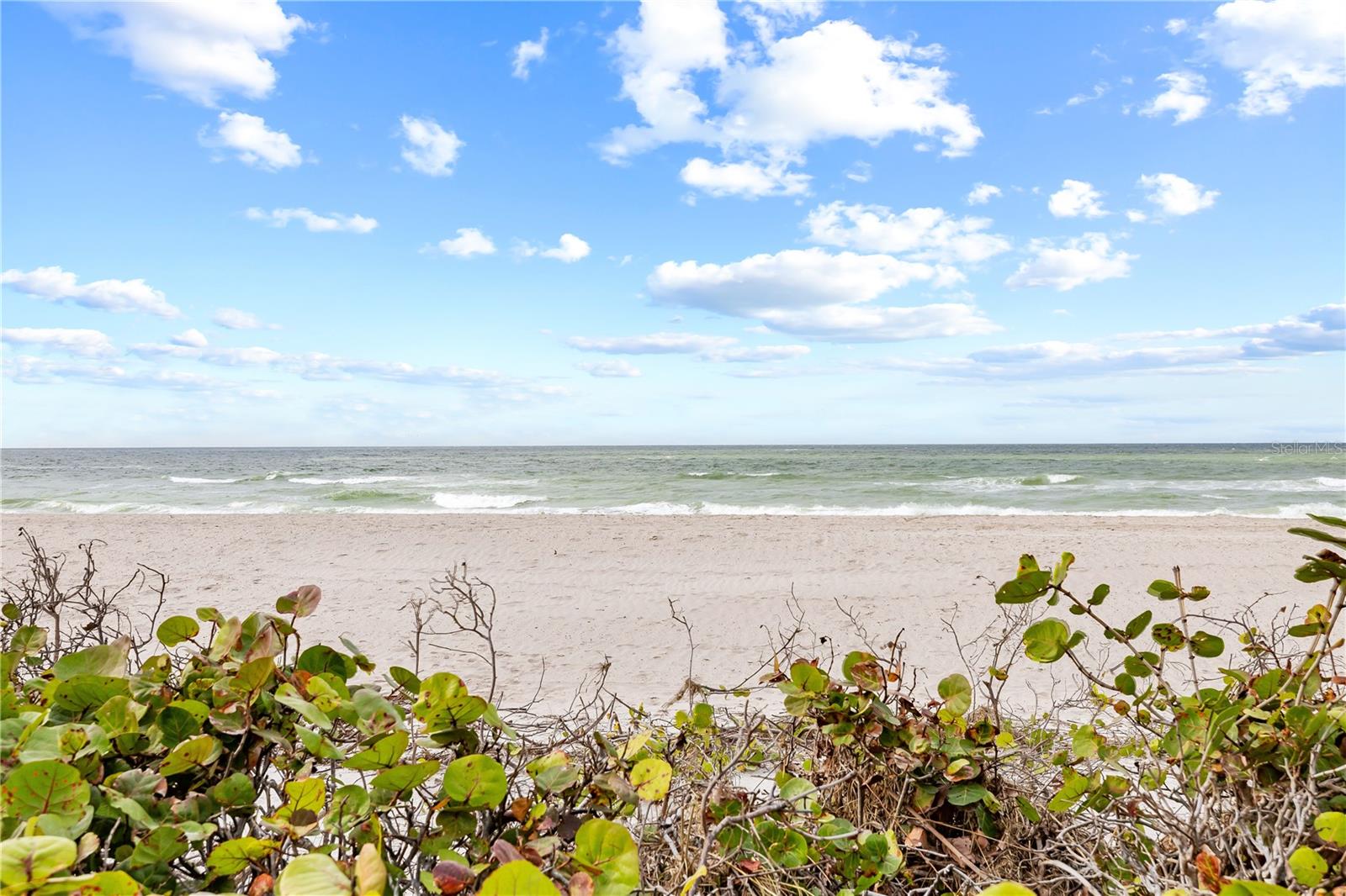 Image 44 of 58 For 3400 Gulf Boulevard 105