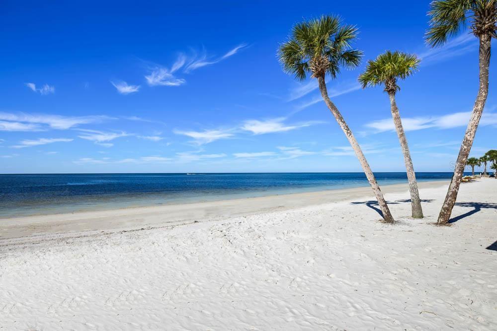 Image 58 of 63 For 5529 White Marlin Court