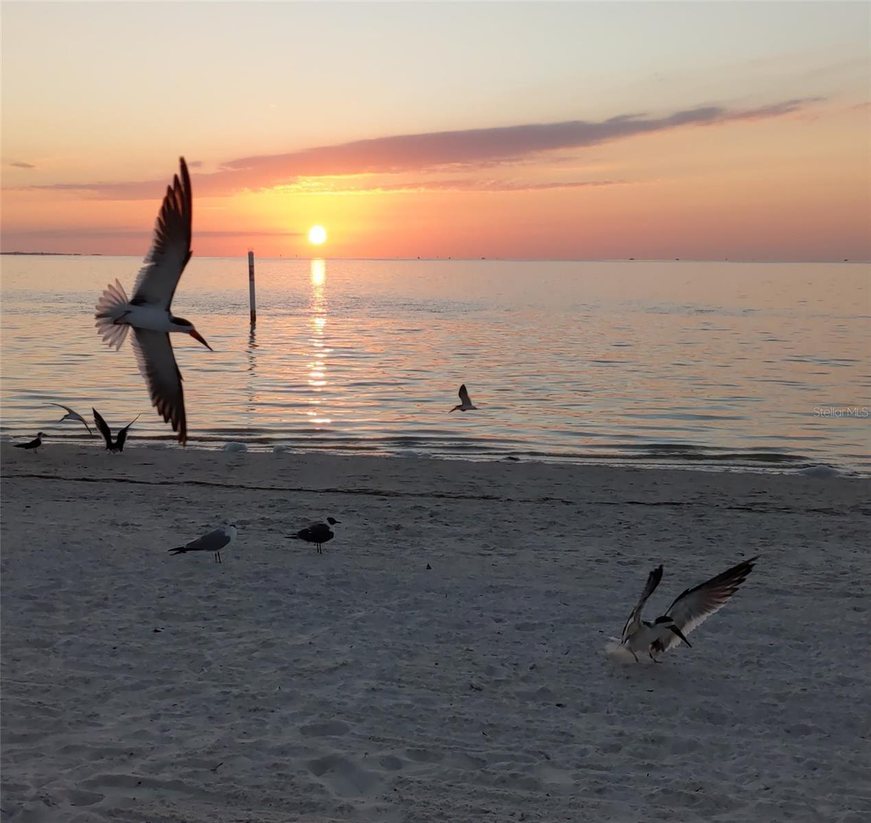 Image 63 of 63 For 5529 White Marlin Court