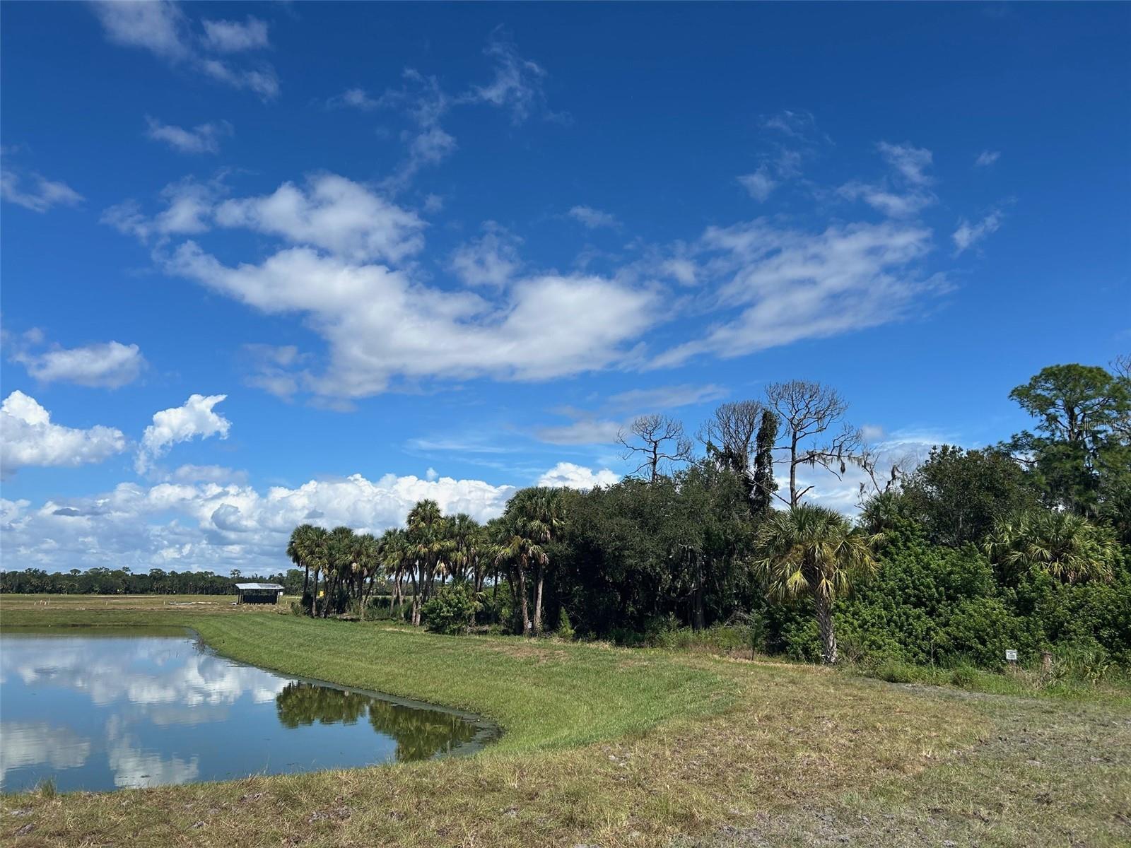 Image 43 of 43 For 10054 Hidden Hammock Loop