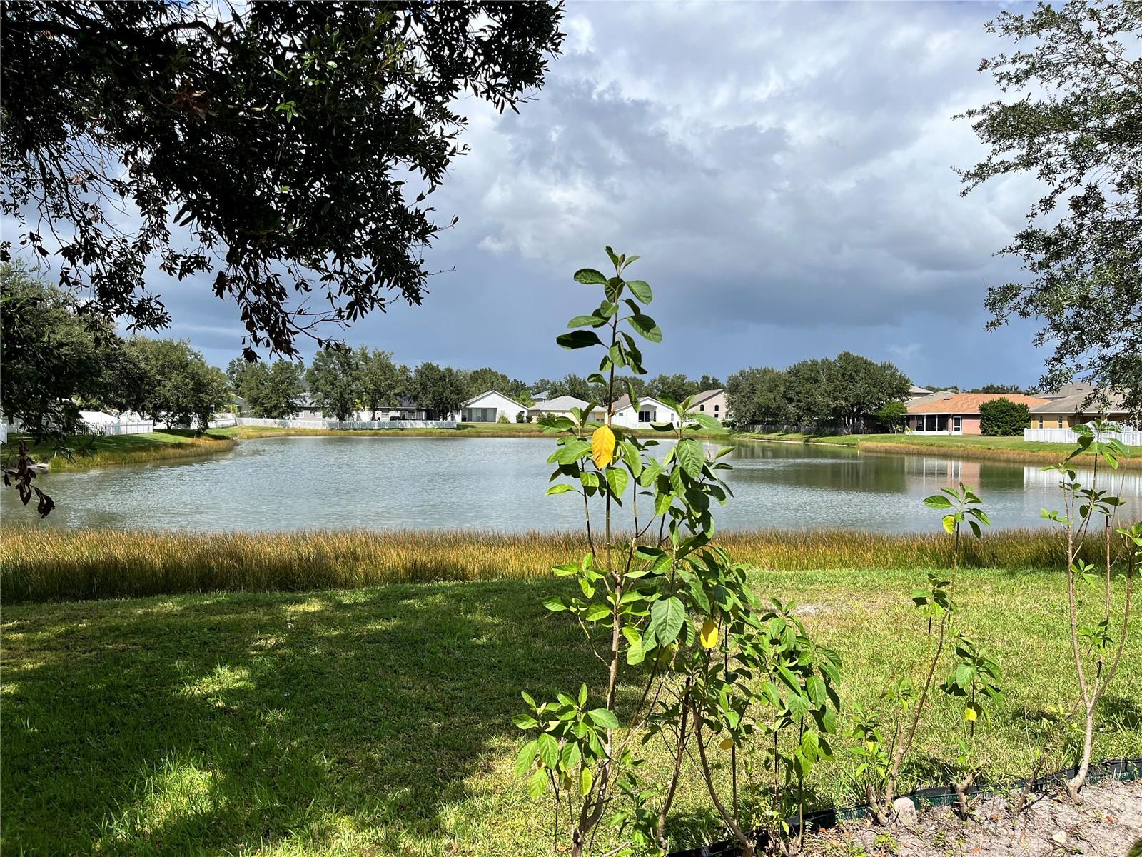 Image 8 of 14 For 31029 Baclan Drive