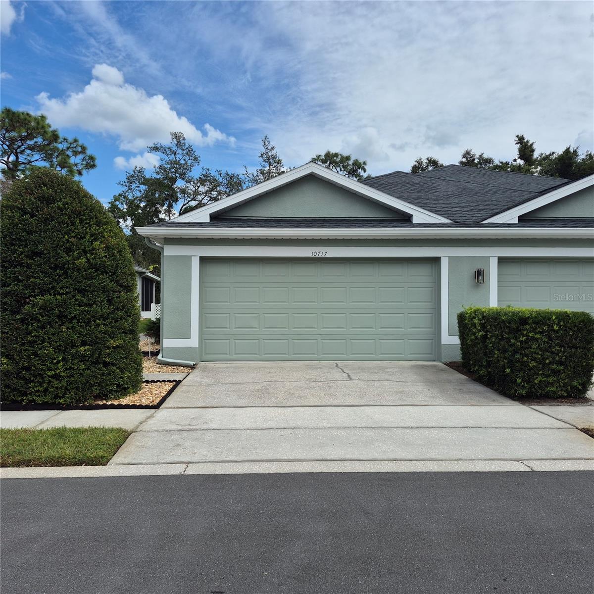 Details for 10717 Ashford Oaks Drive, TAMPA, FL 33625