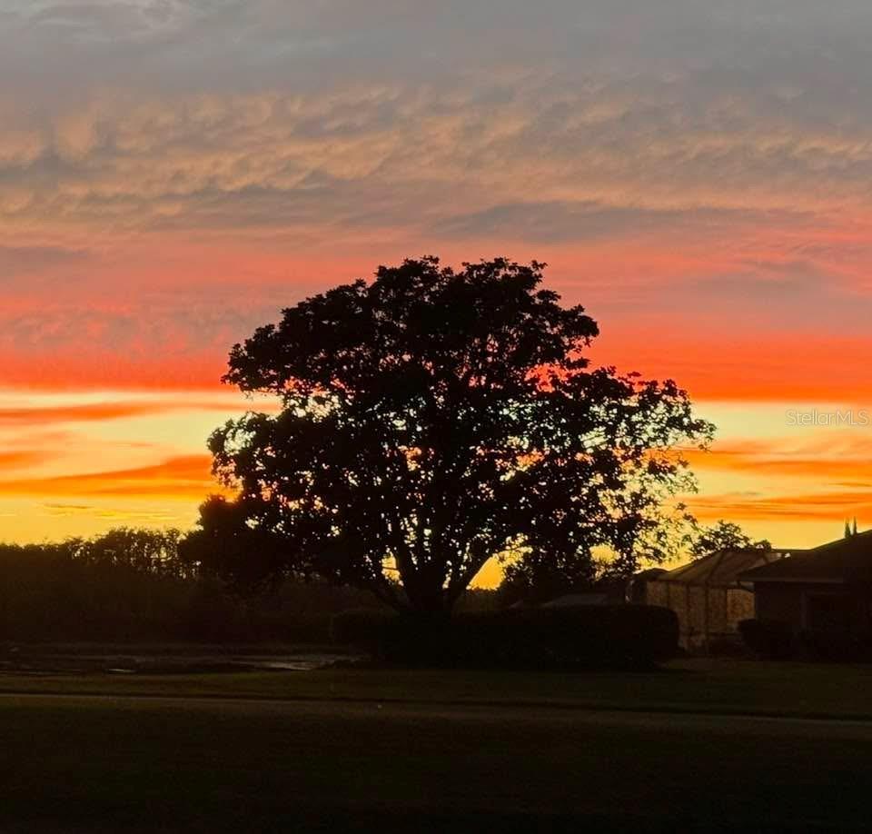 Image 57 of 58 For 8472 Maybelle Drive