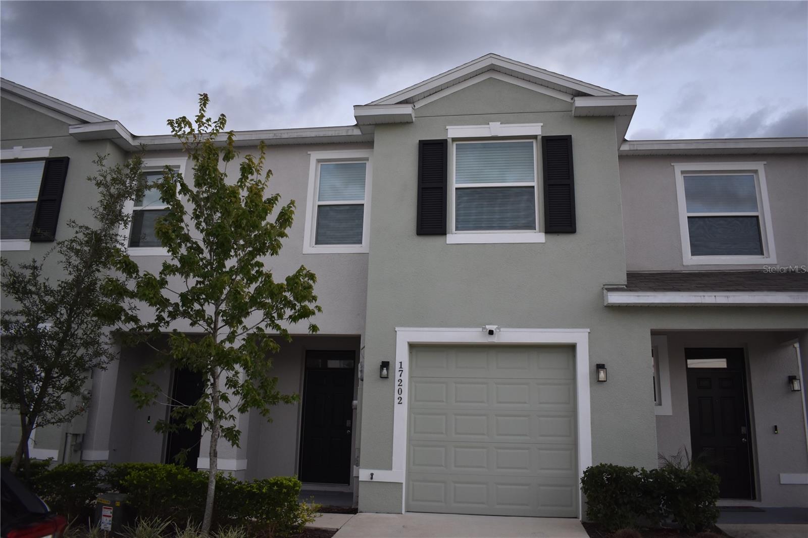 Details for 17202 Amber Aspen Way, LAND O LAKES, FL 34638
