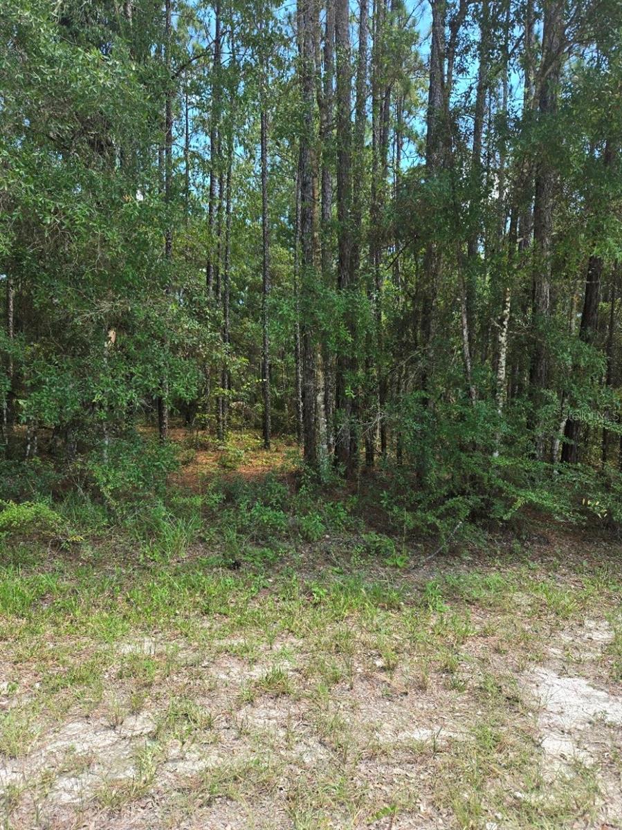 Details for 14126 Ricebird Avenue, BROOKSVILLE, FL 34614