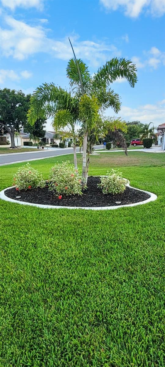 Listing photo id 37 for 1809 Wolf Laurel Drive