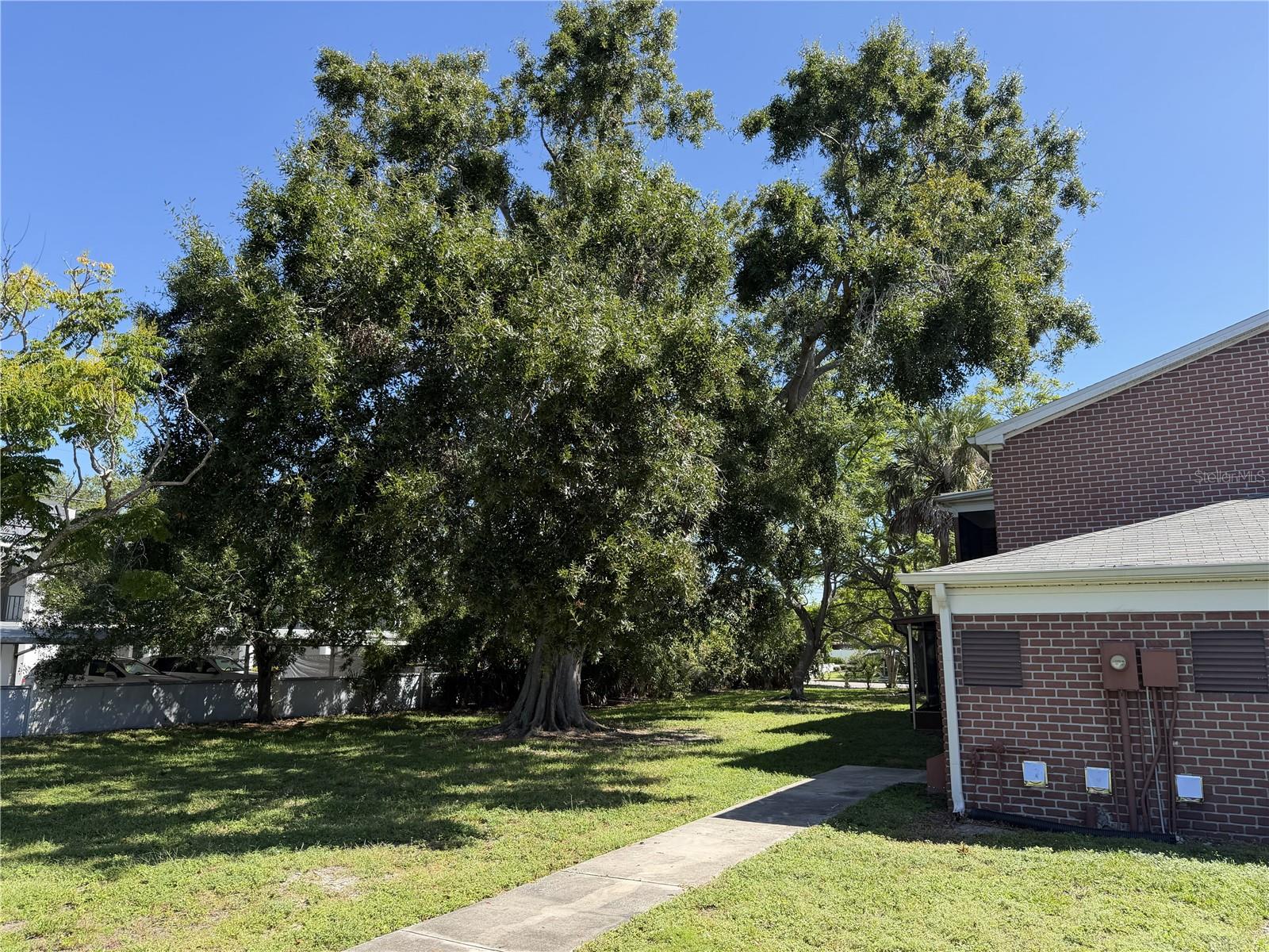 Image 22 of 22 For 8520 9th Way N B