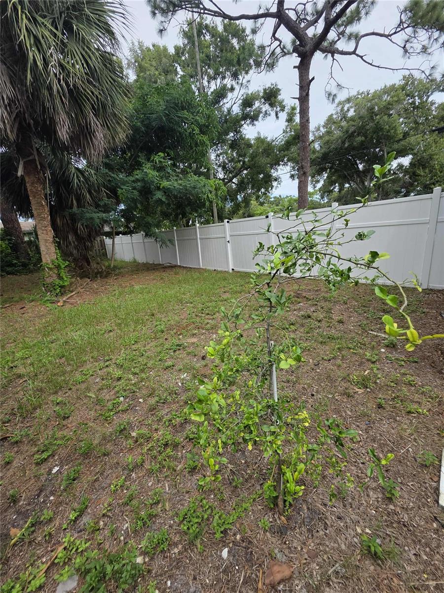 Image 41 of 46 For 5380 77th Avenue N