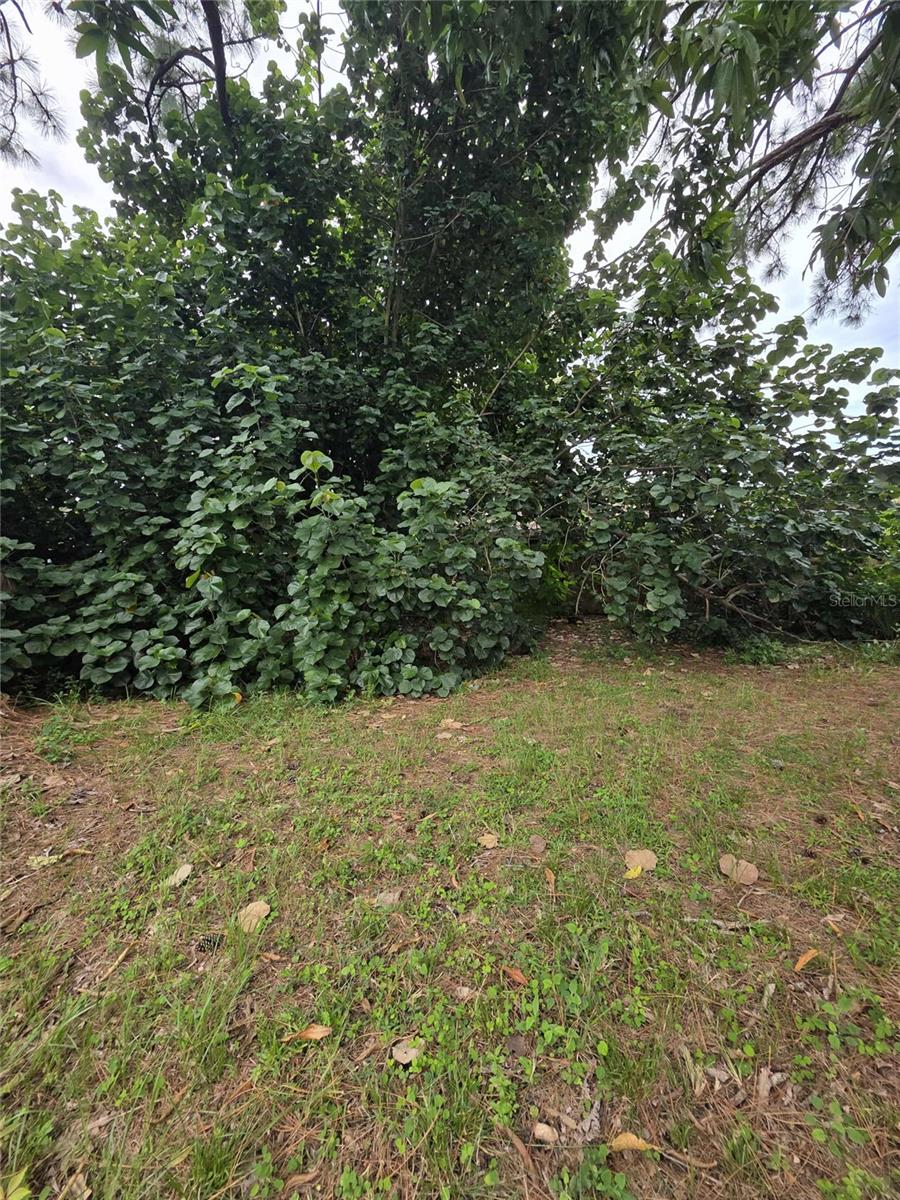 Image 45 of 46 For 5380 77th Avenue N