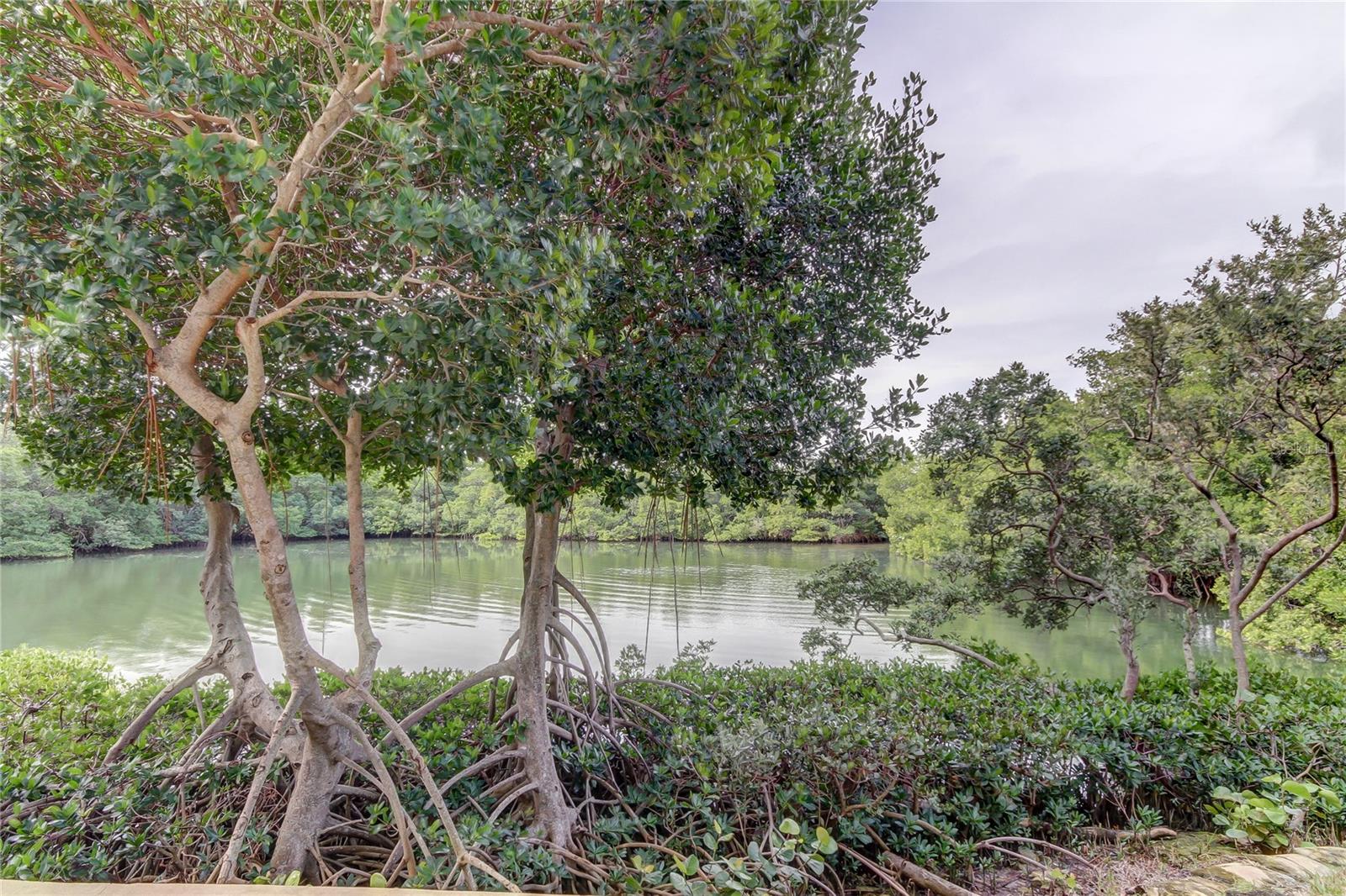 Image 38 of 43 For 7050 Sunset Drive S 208