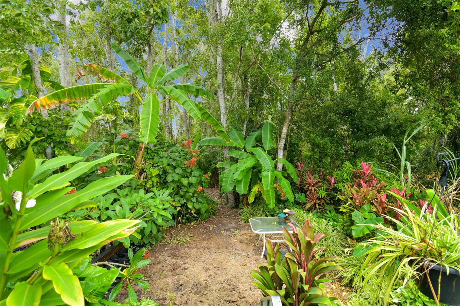 Listing photo id 31 for 27141 La Jolla Way