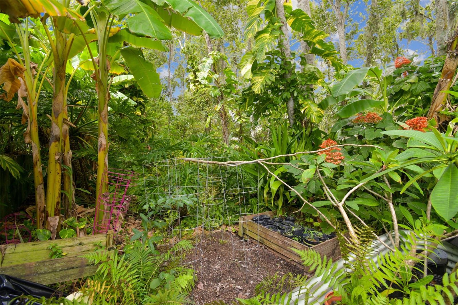 Listing photo id 33 for 27141 La Jolla Way