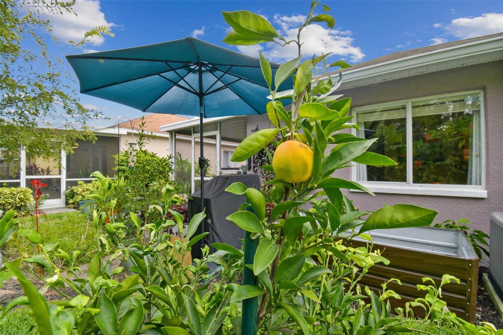 Listing photo id 35 for 27141 La Jolla Way