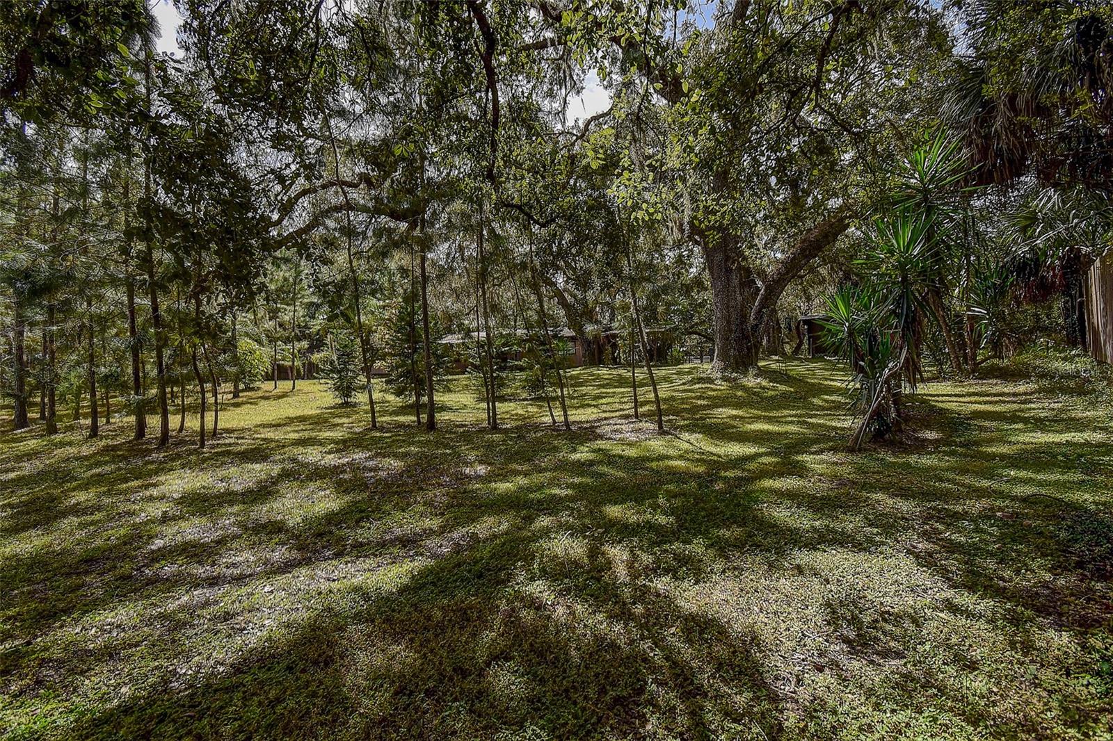 Image 10 of 51 For 11231 Tenoaks Drive