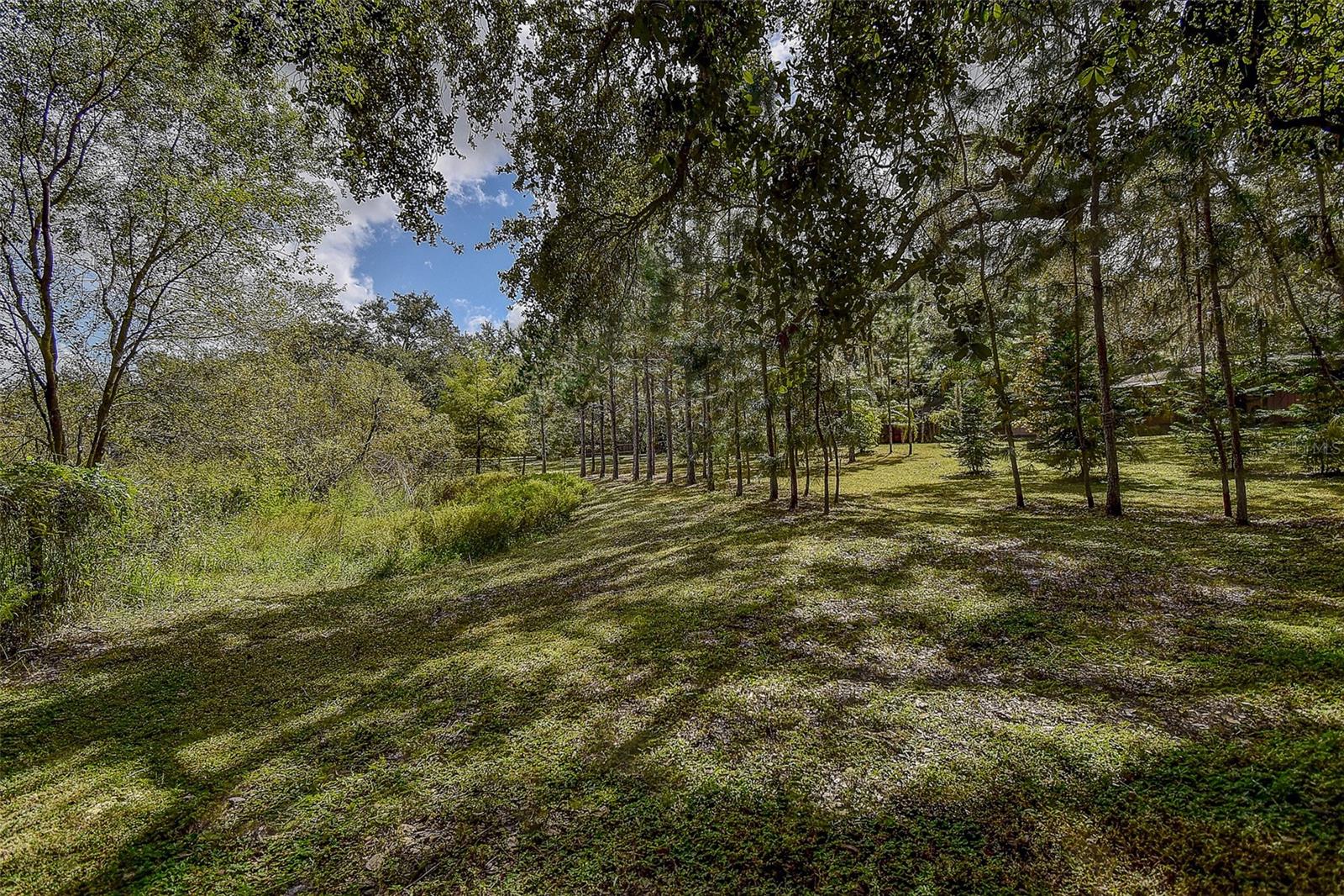 Image 9 of 51 For 11231 Tenoaks Drive