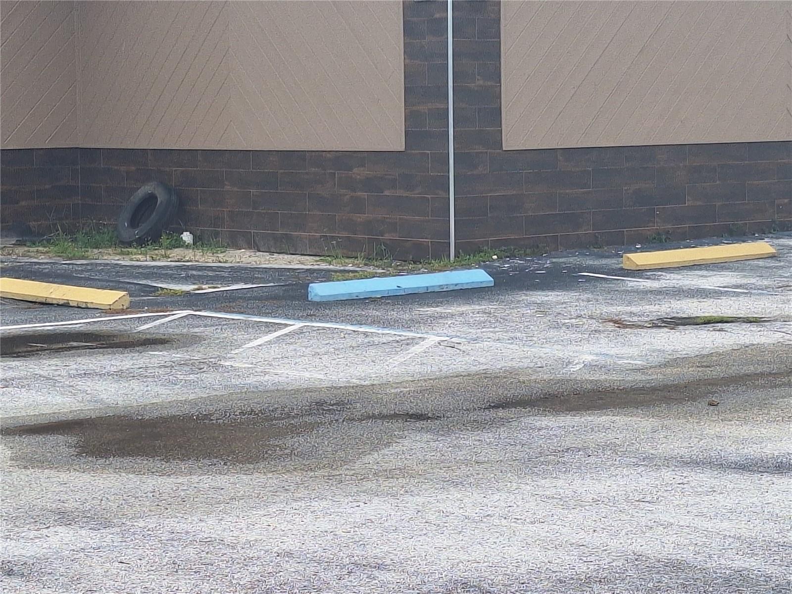 Image 33 of 39 For 1128 Alternate Hwy 19