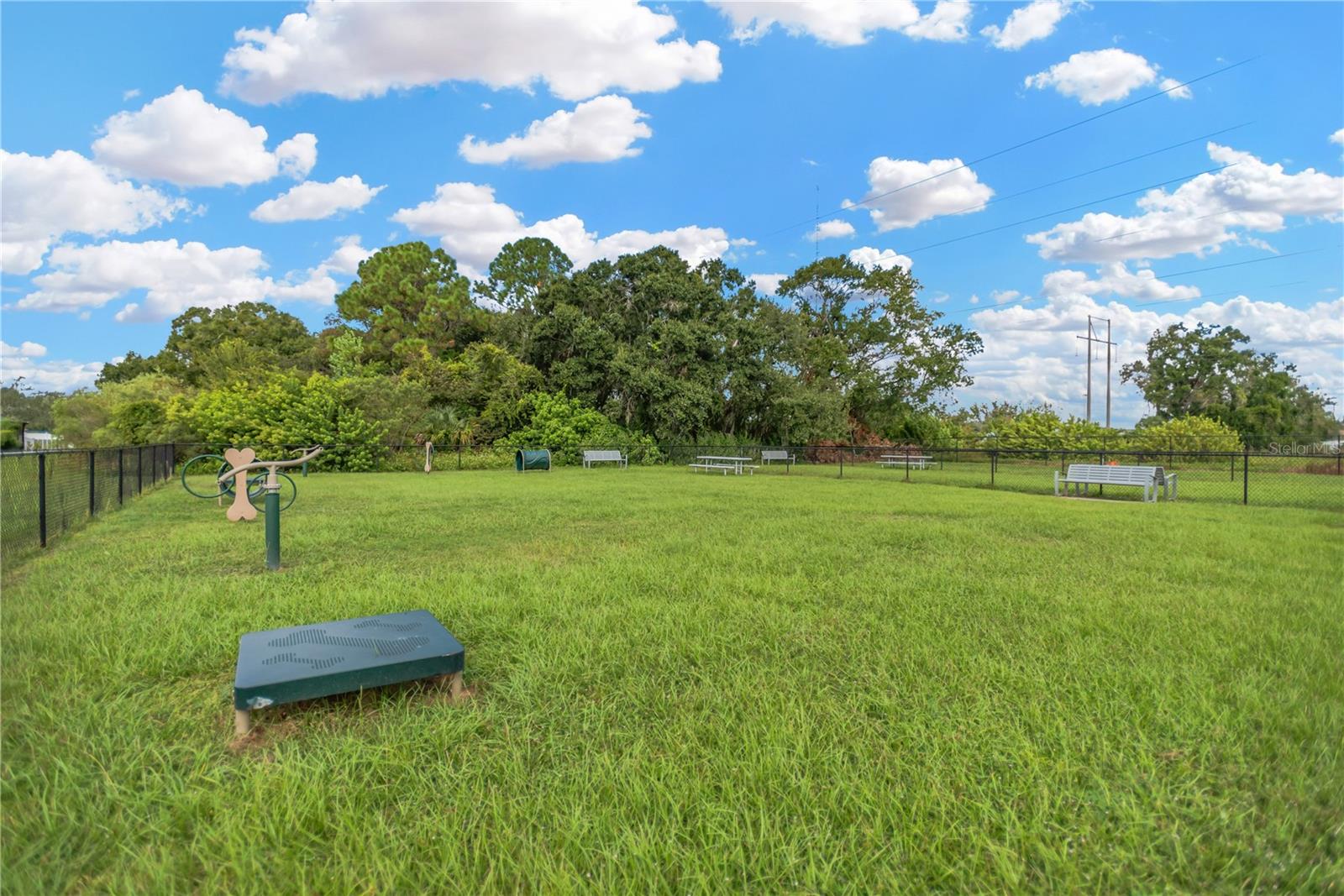 Listing photo id 35 for 4957 Wild Senna Boulevard