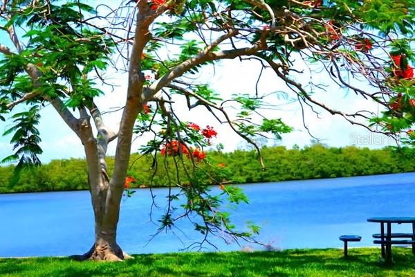 Listing photo id 25 for 611 Destiny Drive 116