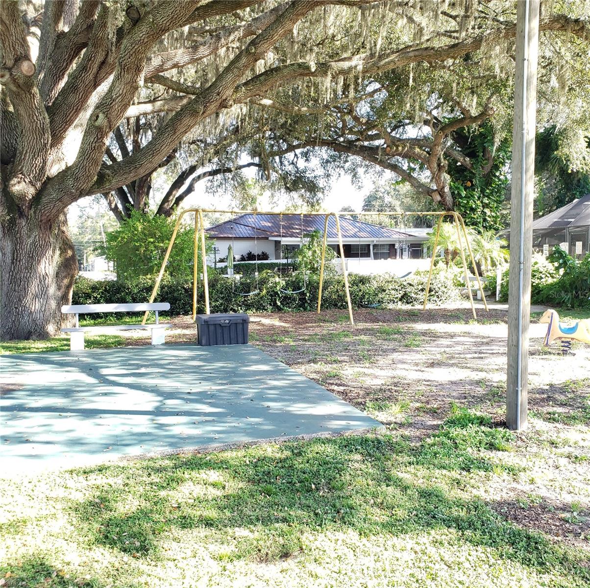 Listing photo id 20 for 39132 County Road 54  2168