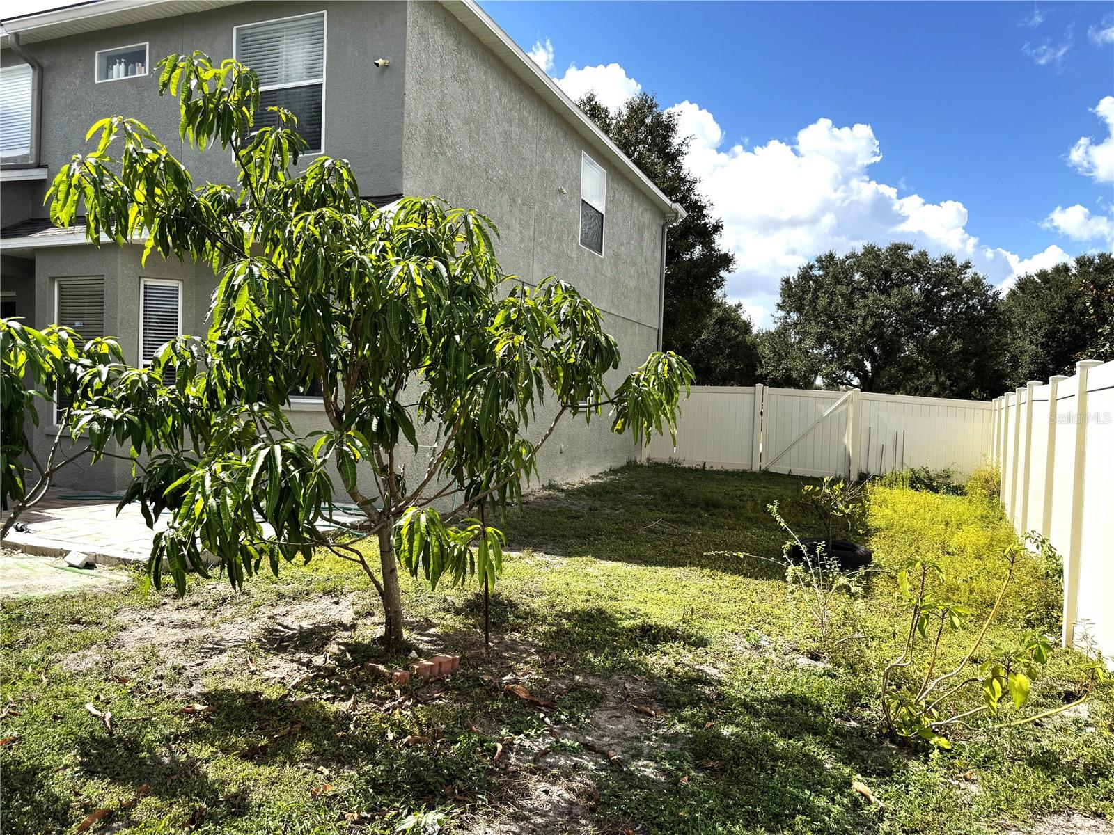 Image 19 of 19 For 19017 Sunterra Drive