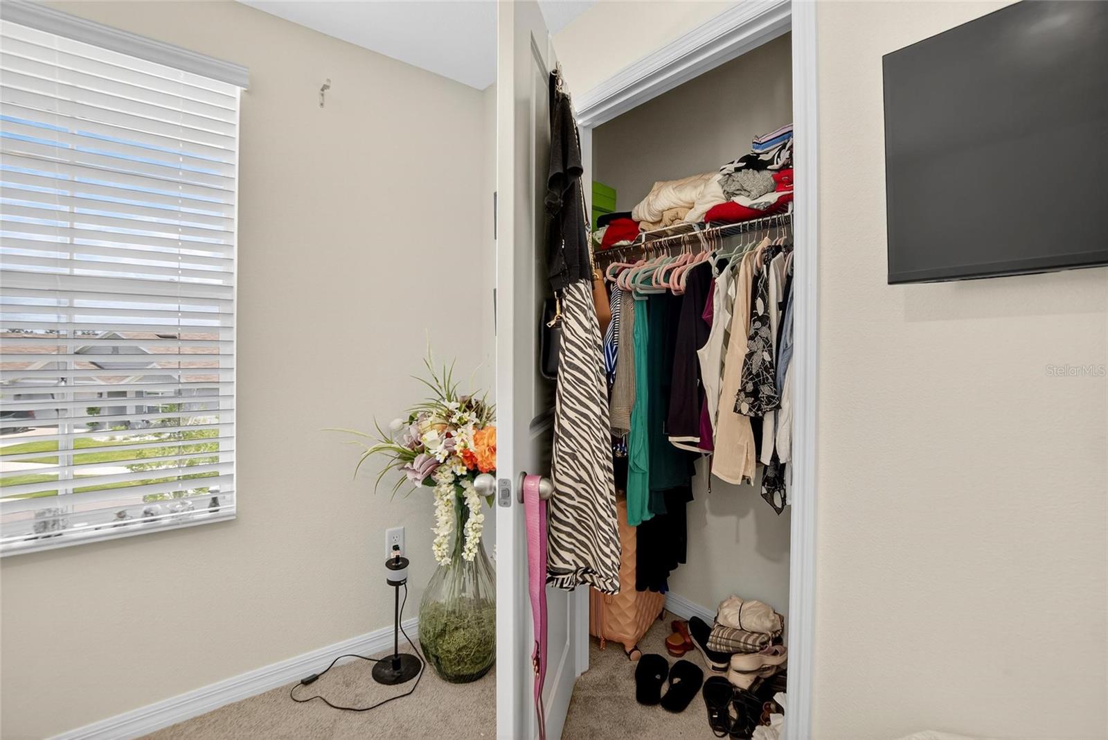 Image 53 of 73 For 2841 Gumbo Limbo Drive