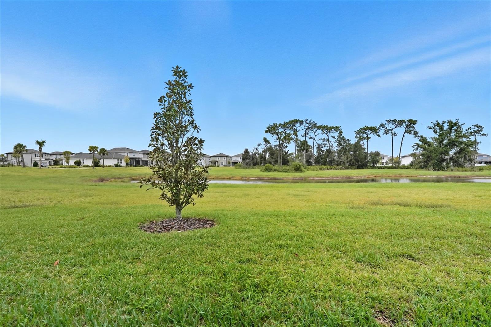 Image 39 of 49 For 5989 Timberdale Avenue