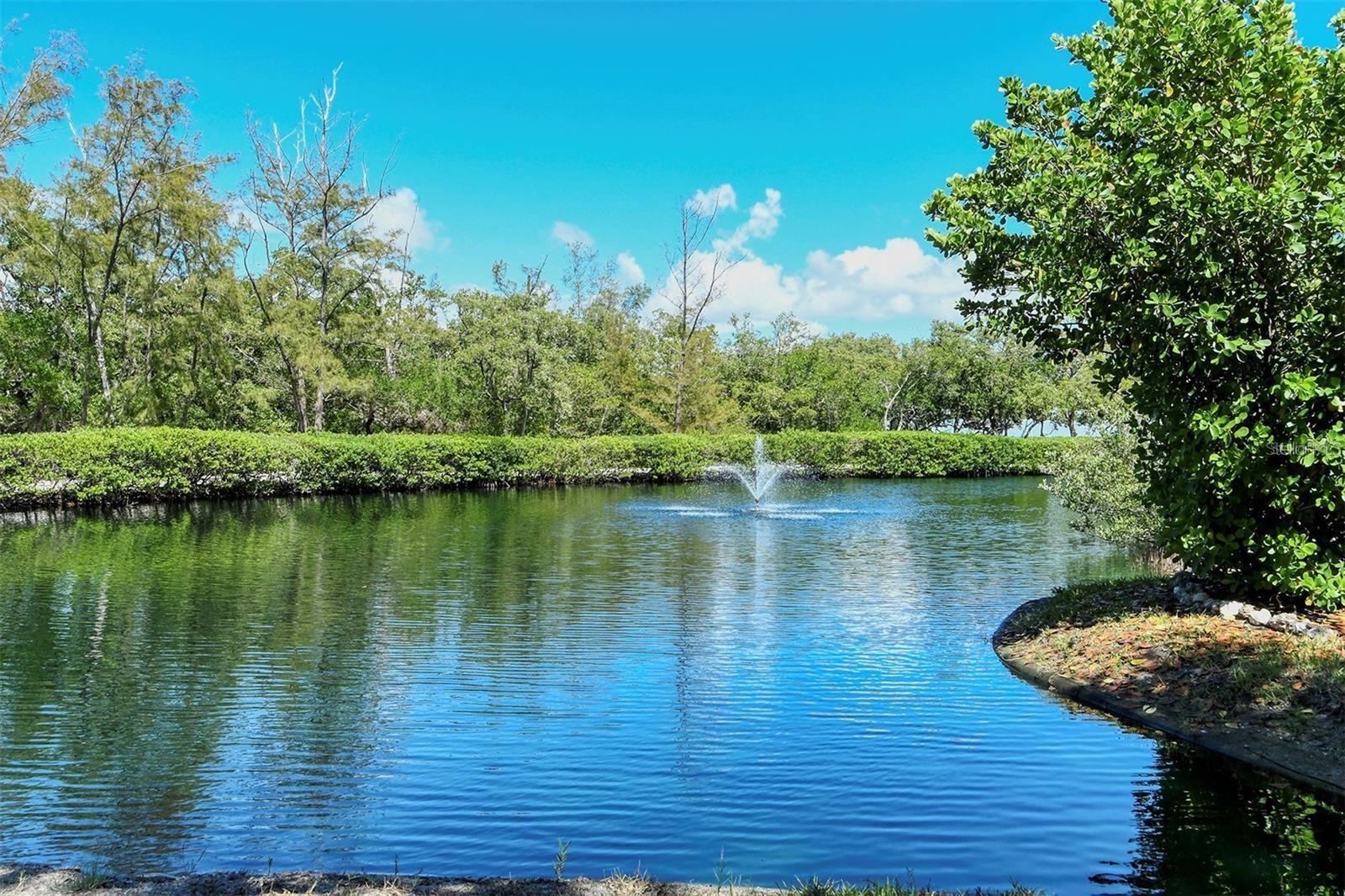Image 64 of 79 For 609 Bayport Way 609