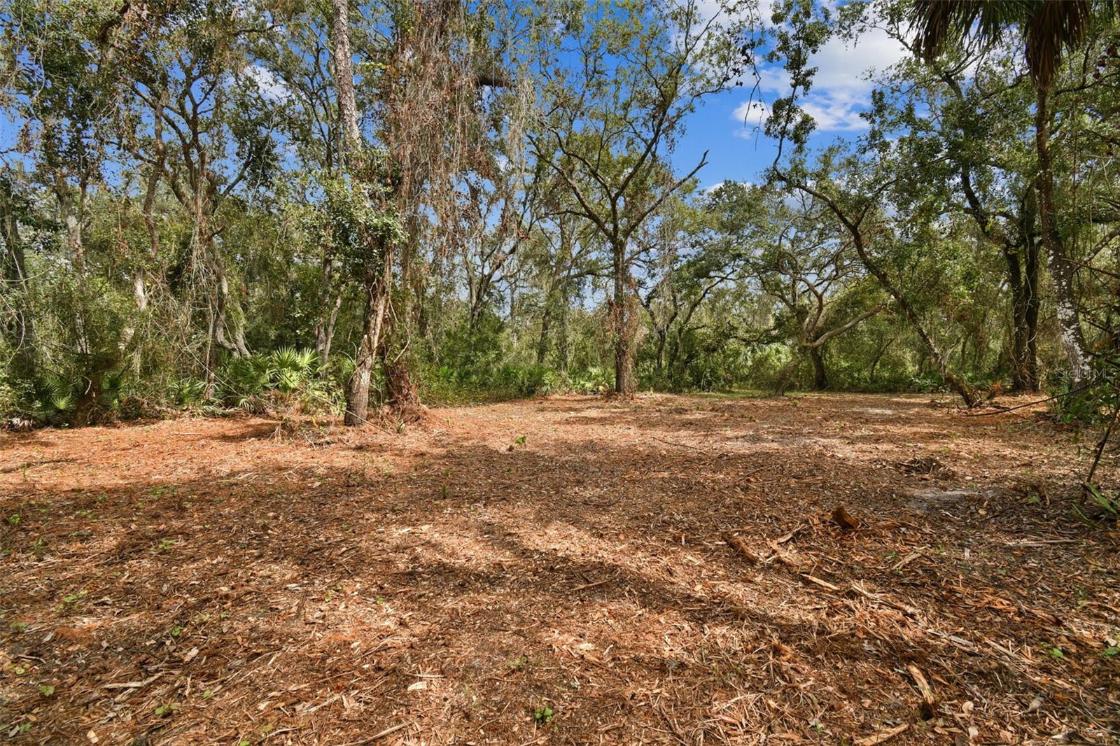 Image 6 of 32 For 5466 And 5476 Cyril Drive